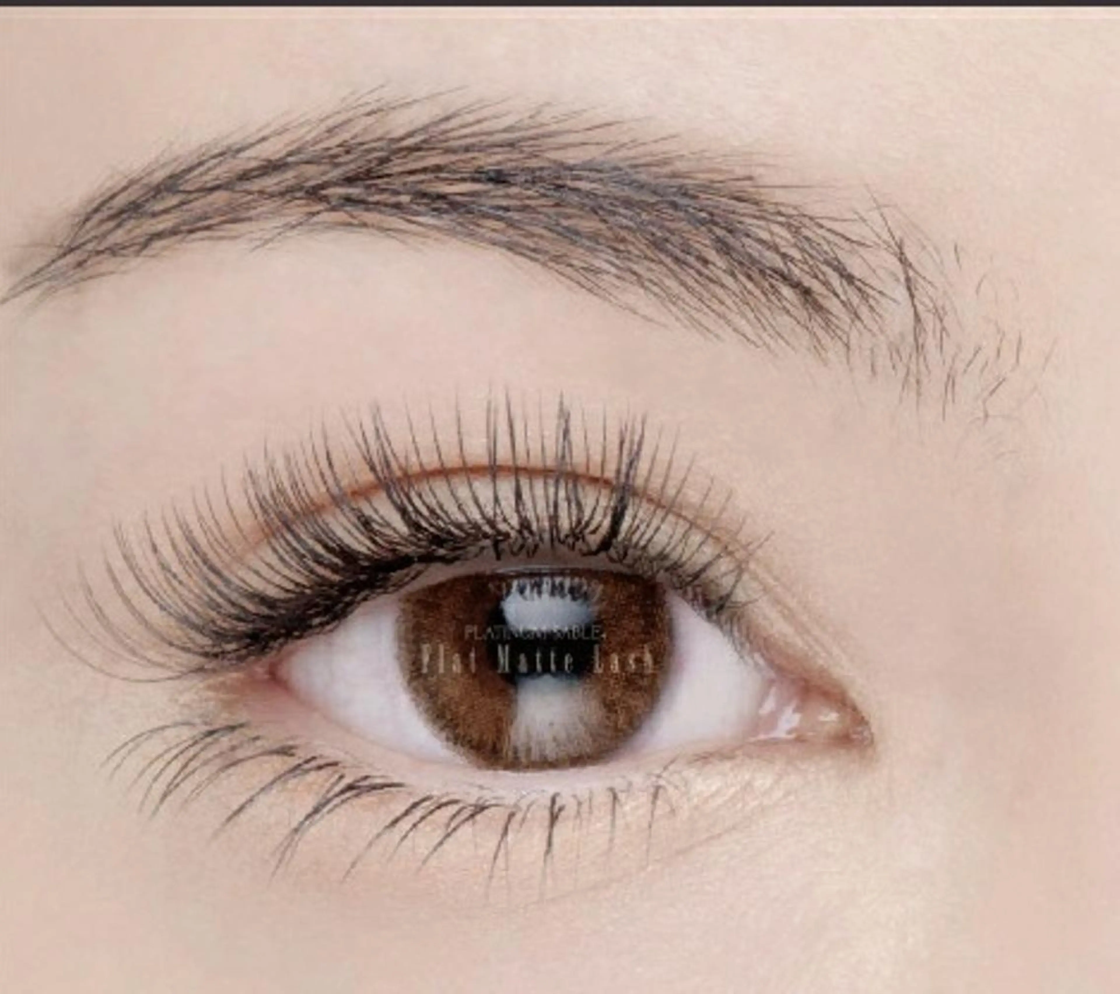 【ご新規様】劇的やわらか💭ボリュームラッシュ(上)360本💭¥9700→¥6900の写真