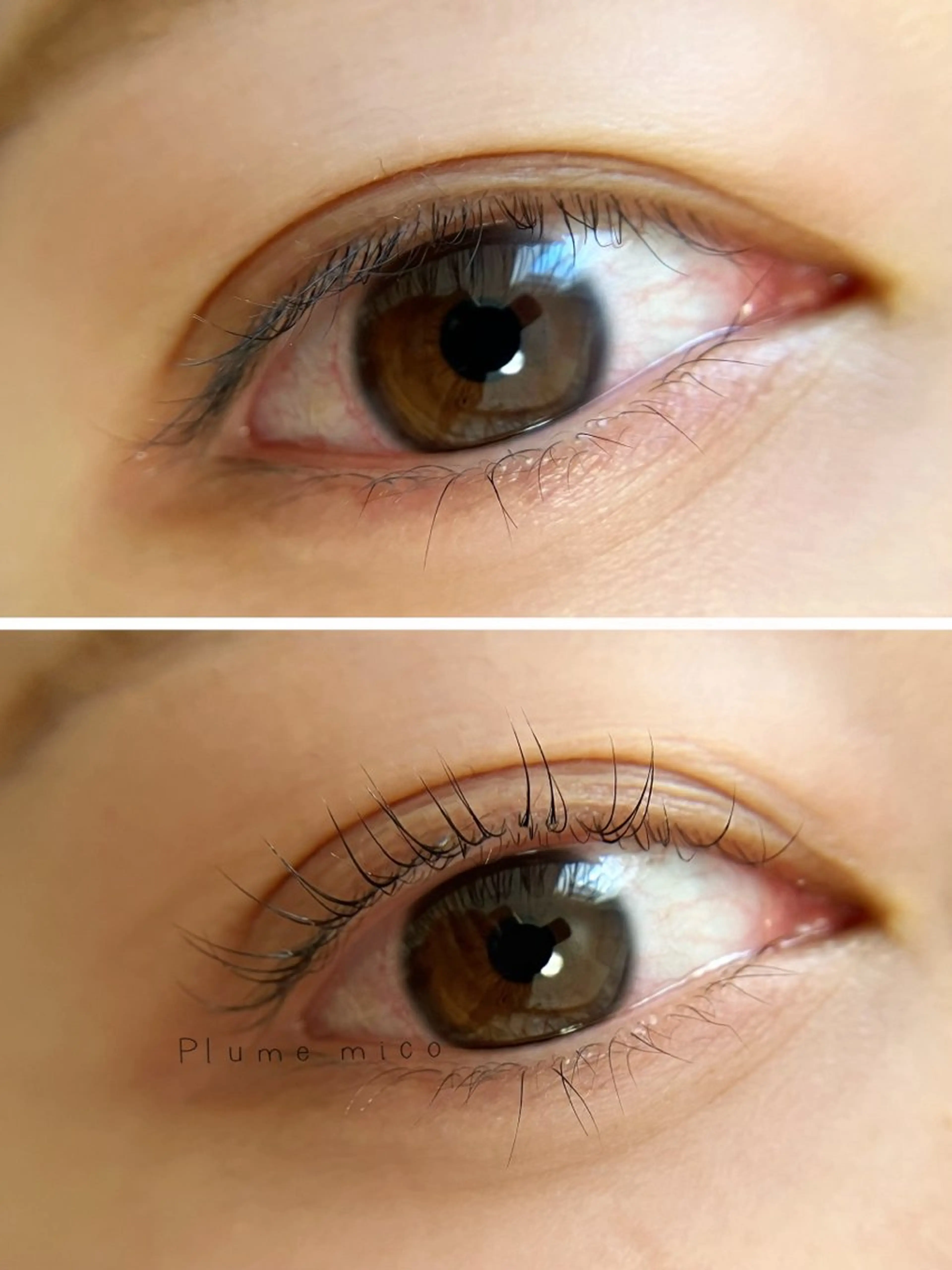 マツエク・マツパ マツパ Plume micoのマツエク・マツパデザイン