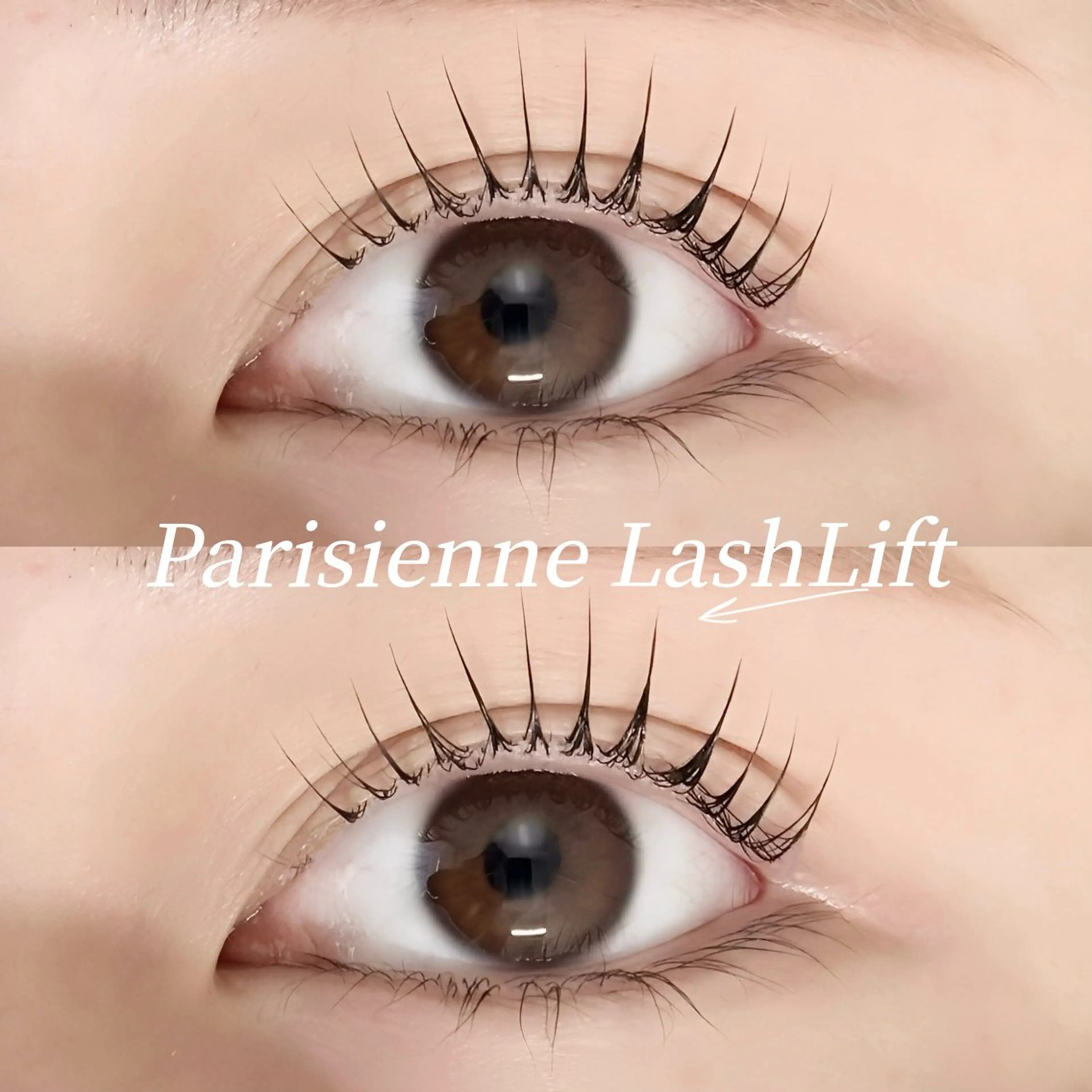 【お得なセットメニュー】🌿パリジェンヌ+ダメージ軽減トリートメント+束間コーティング付の写真