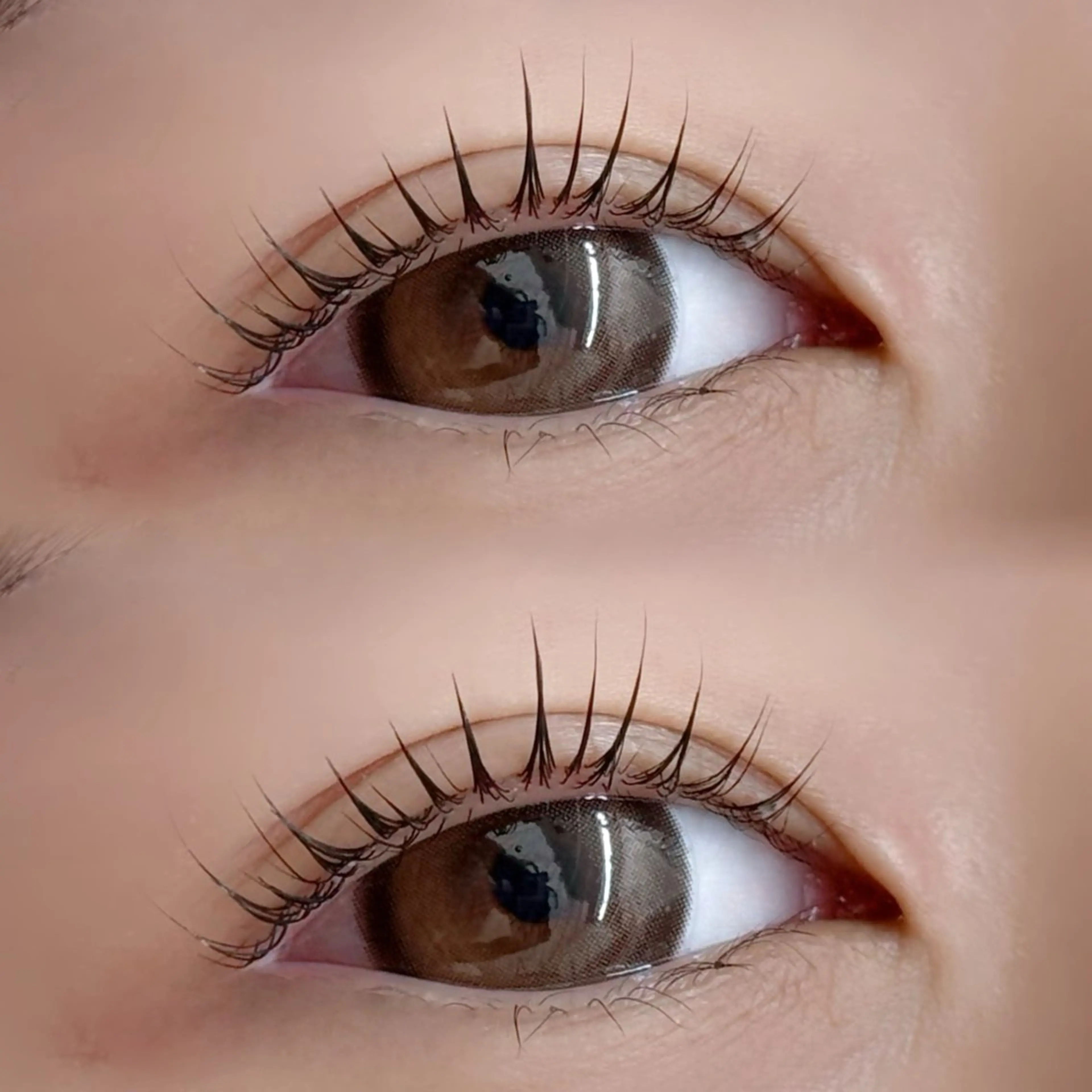 マツエク・マツパ マツパ 南浦和 yuno🐱のマツエク・マツパデザイン