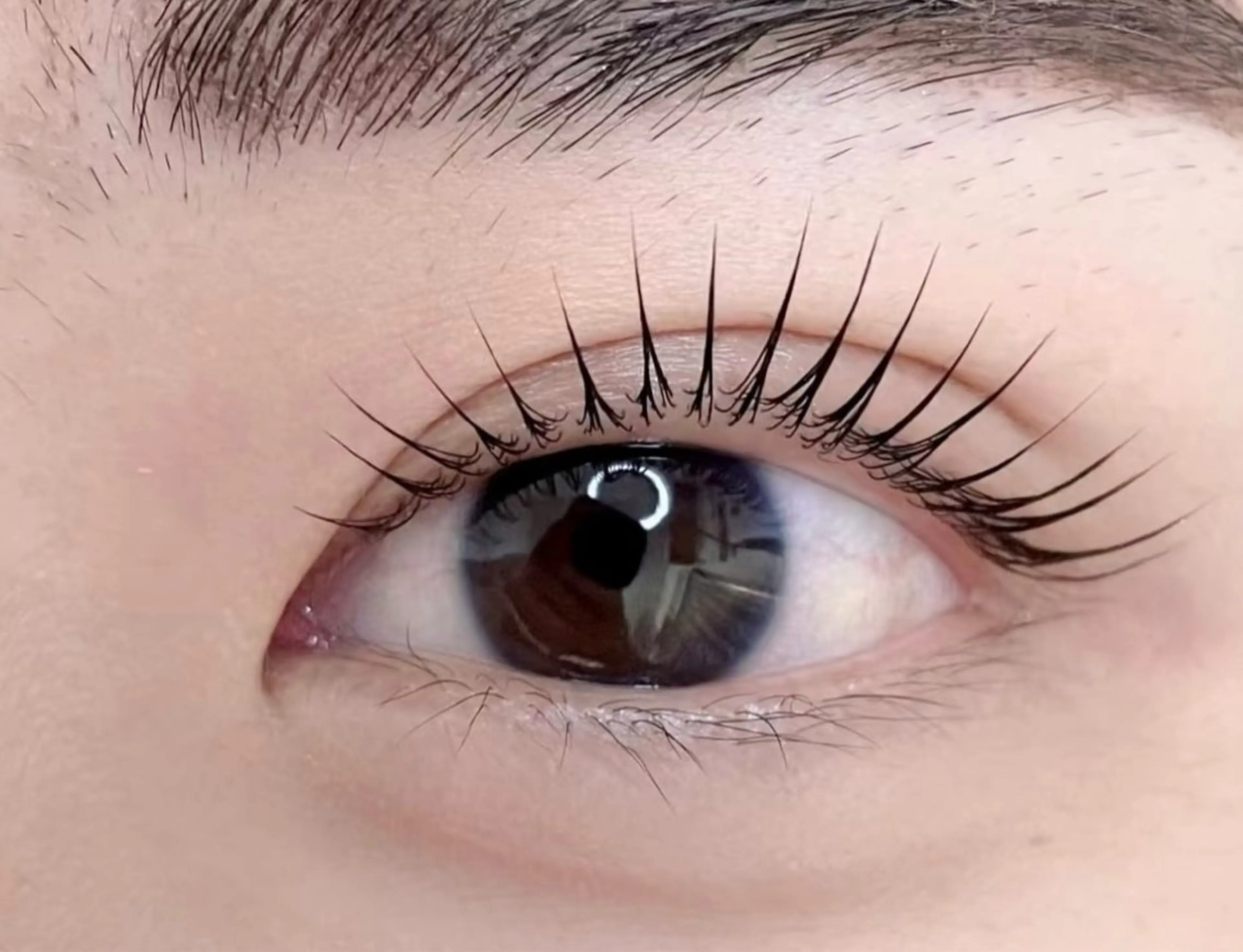 マツエク・マツパ Kllマツエク& まつげパーマ池袋店のマツエク・マツパデザイン