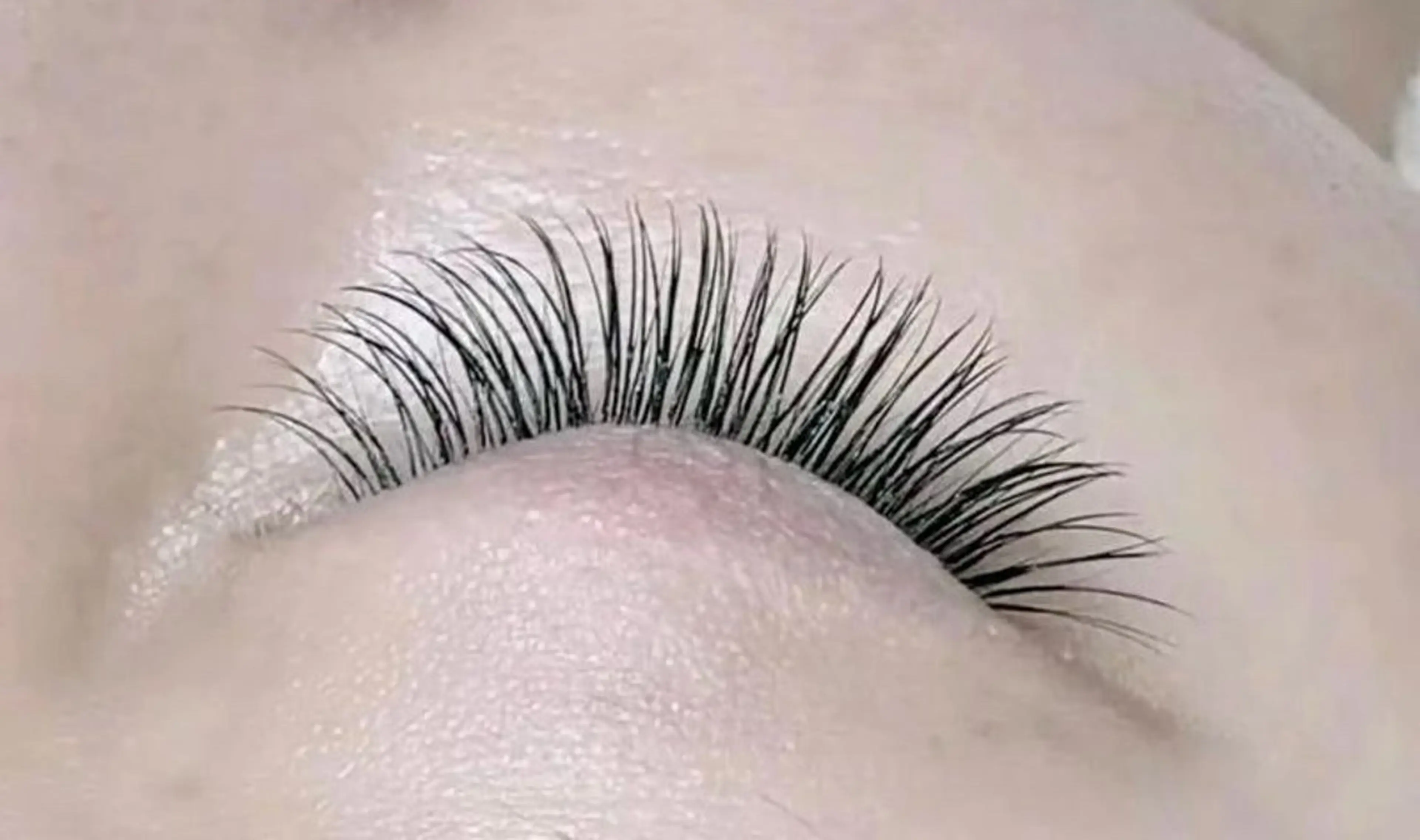 【新規限定】セーブル120本【オフ+600】の写真