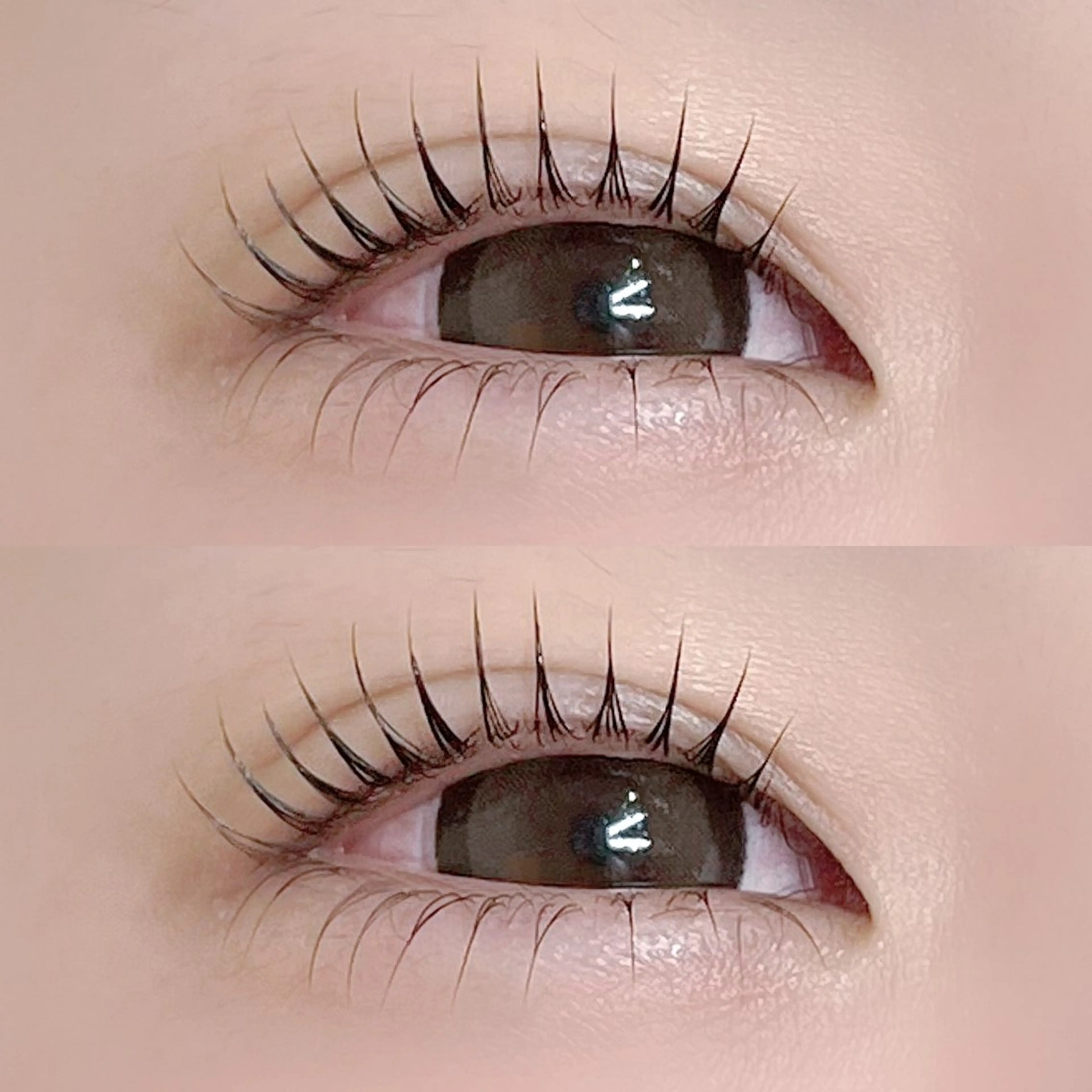 マツエク・マツパ 下まつげエクステ マツパ eyelash salon Pupu lash 流山おおたかの森所属・Pupu lash  𓃱𓂃のその他イメージ