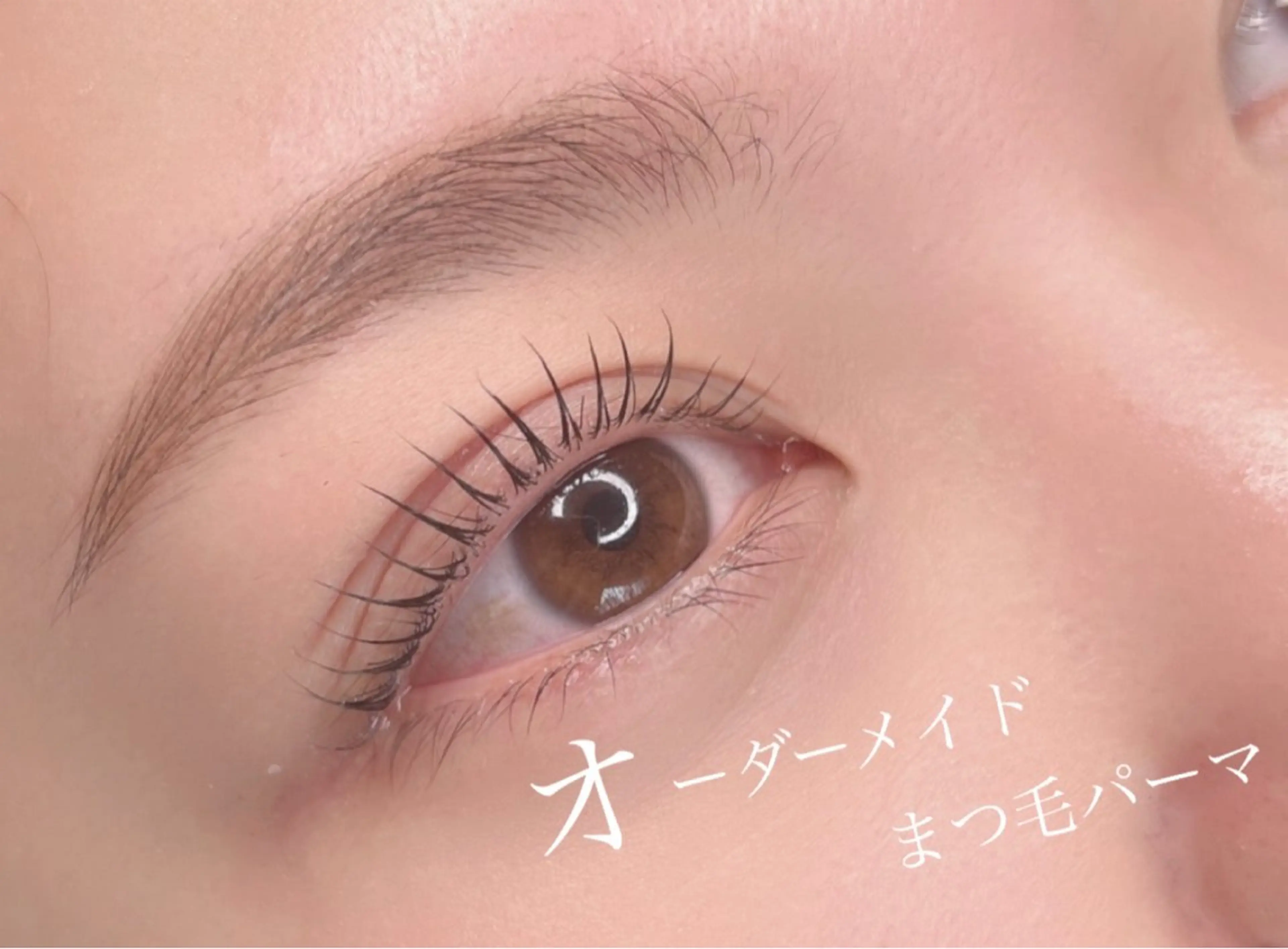 次世代ラッシュリフト🌻🦋クチコミ投稿者限定→（お仕上げのコーティング、アイシャンプーorトリートメント付き🦋）の写真