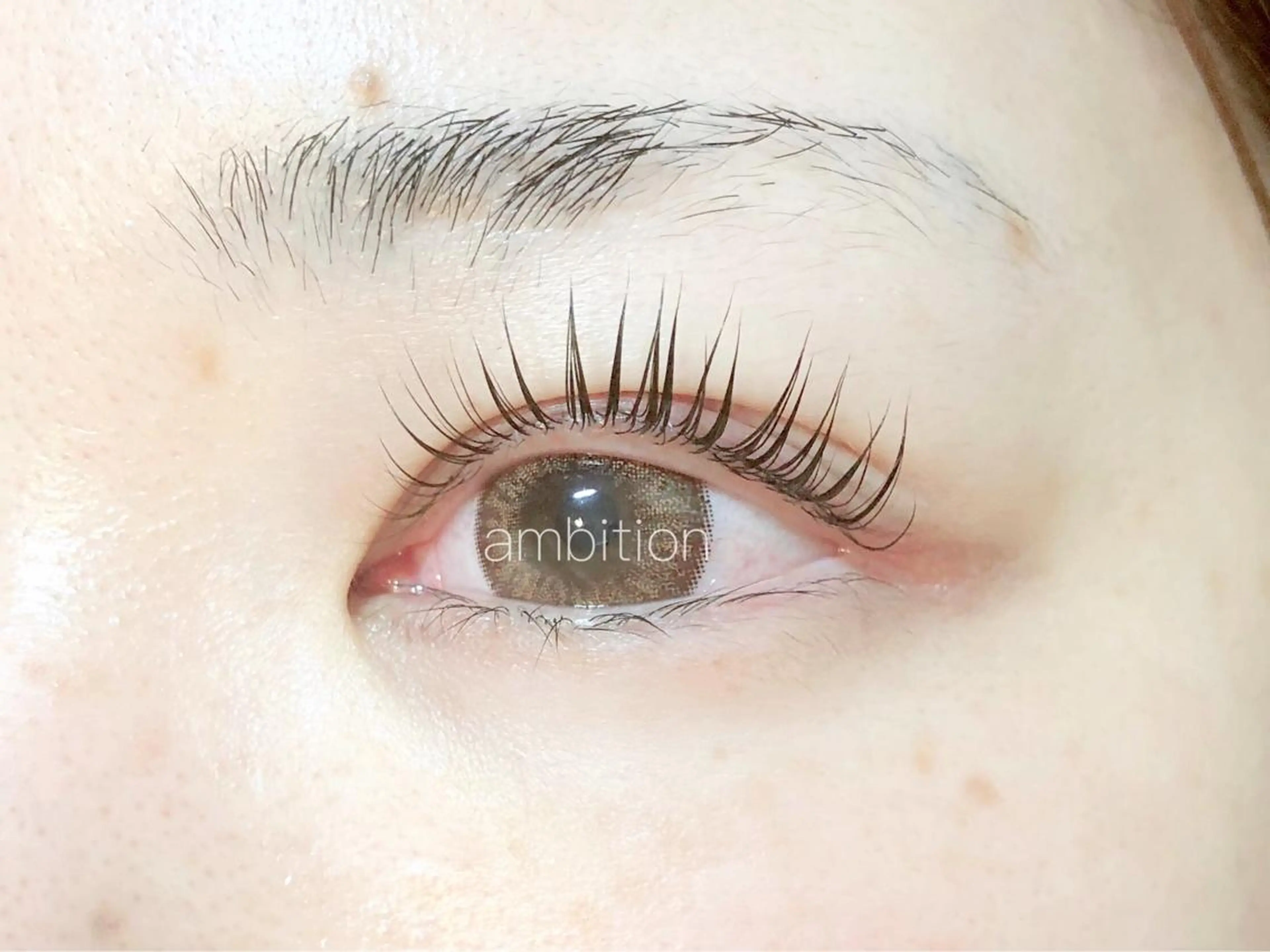 マツエク・マツパ パリジェンヌラッシュリフト デイジーラッシュ 大阪駅前第3ビルのマツエク・マツパデザイン