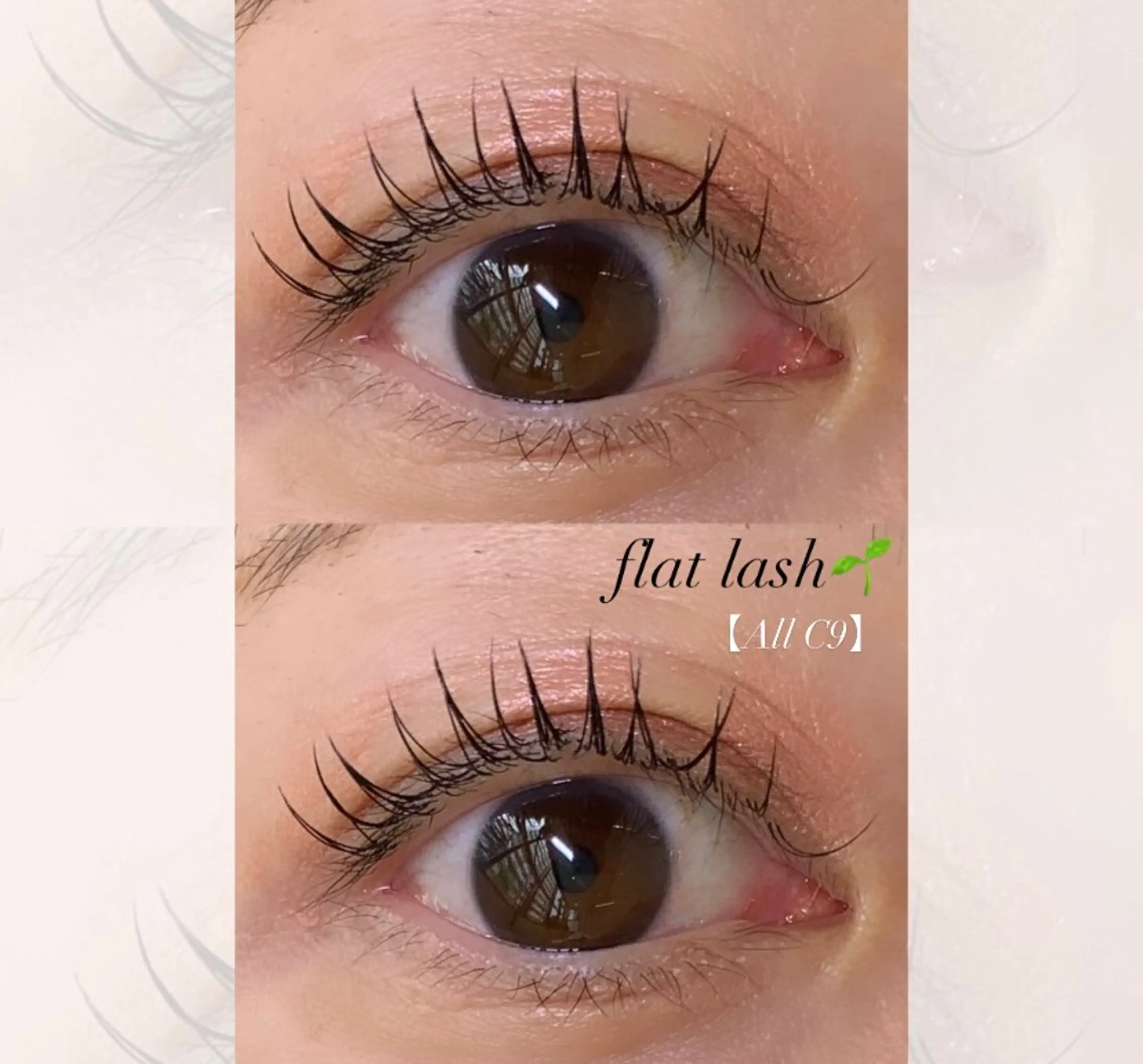 マツエク・マツパ マツエク eyelist 福原のマツエク・マツパデザイン