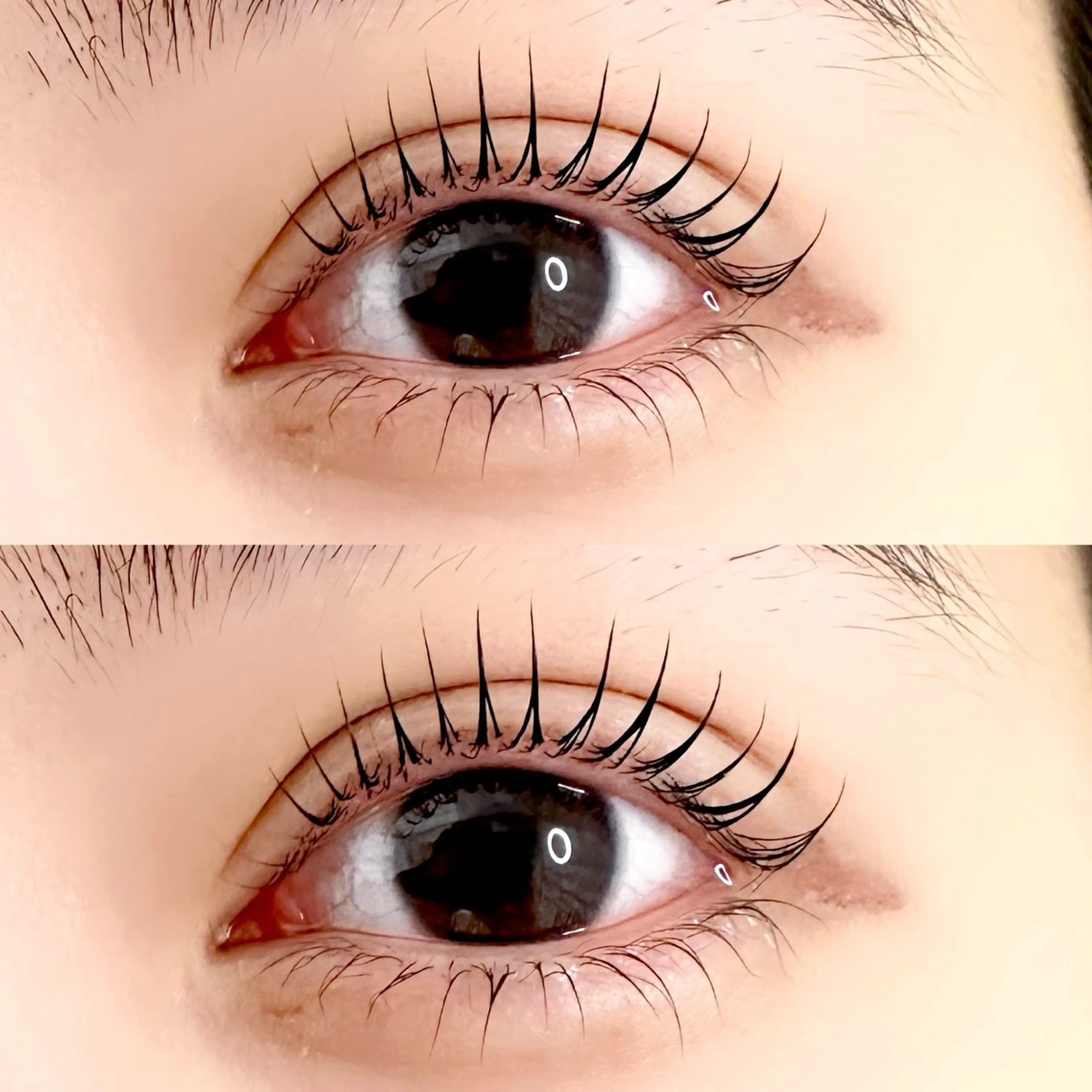 マツエク・マツパ 下まつげエクステ 一重×まつ毛パーマ La ferisia 川崎のマツエク・マツパデザイン