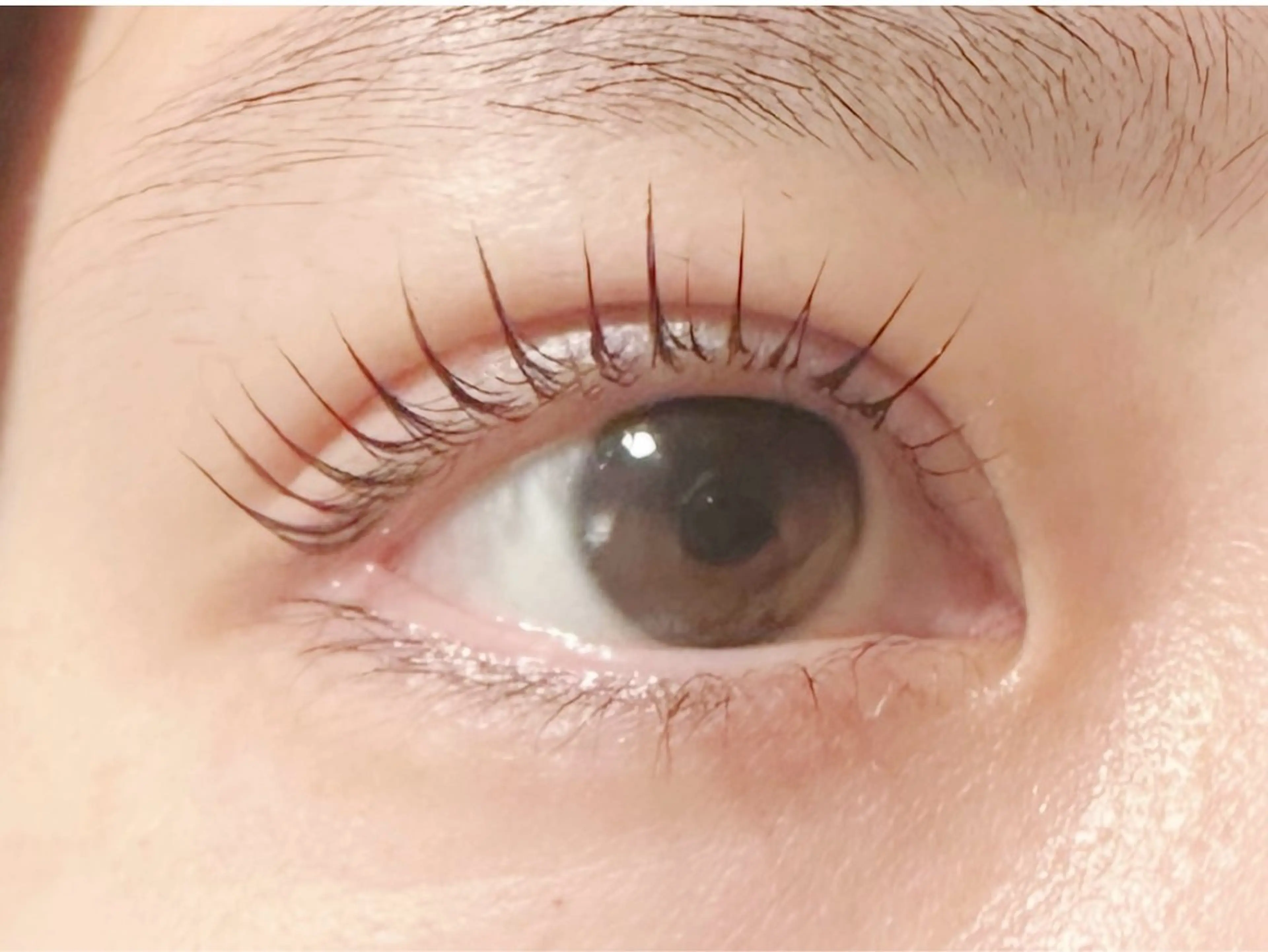 マツエク・マツパ 🌹nawa.c 🦋のマツエク・マツパデザイン