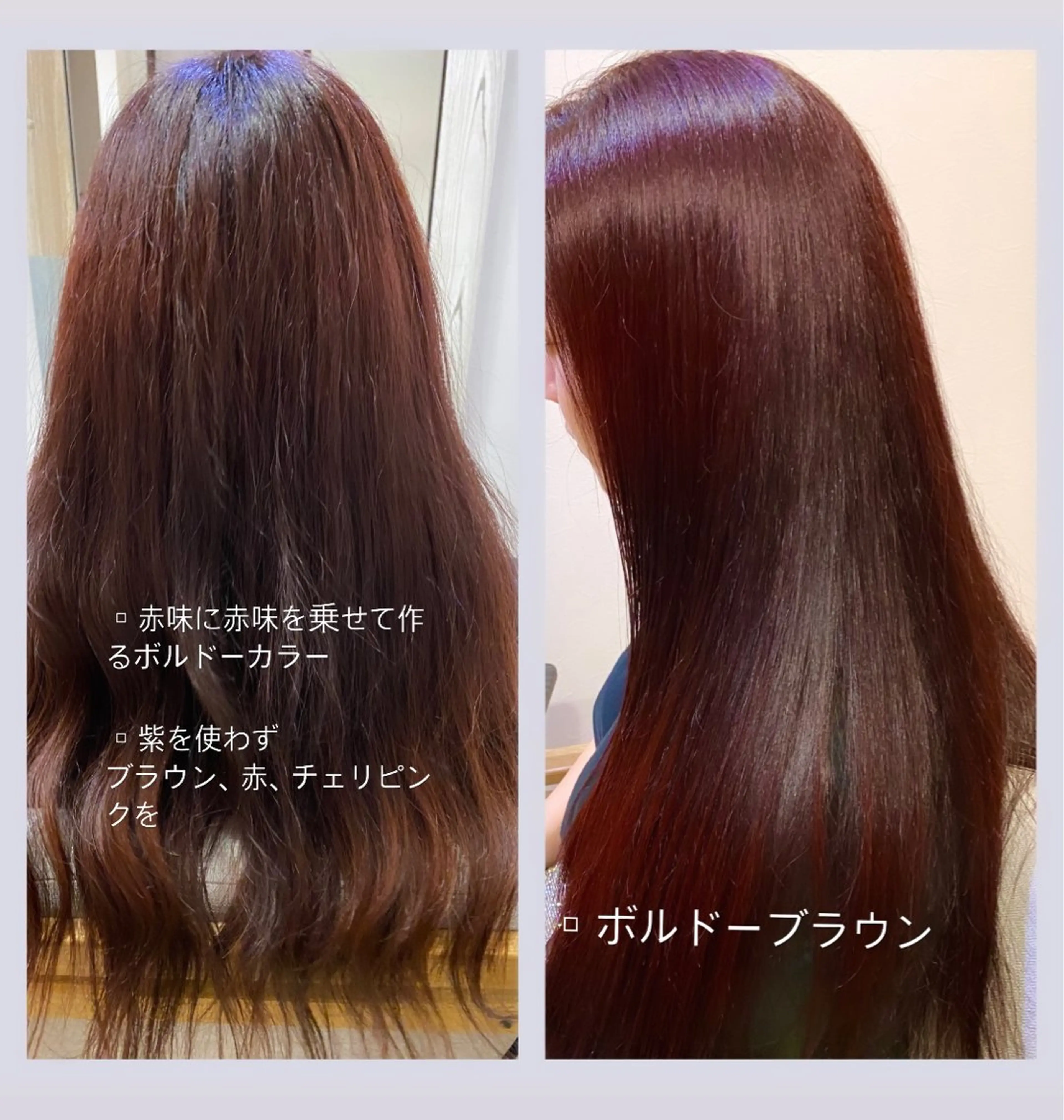 カラー ボルドーカラー ブラウンカラー 佐藤 沙也輝のヘアスタイル