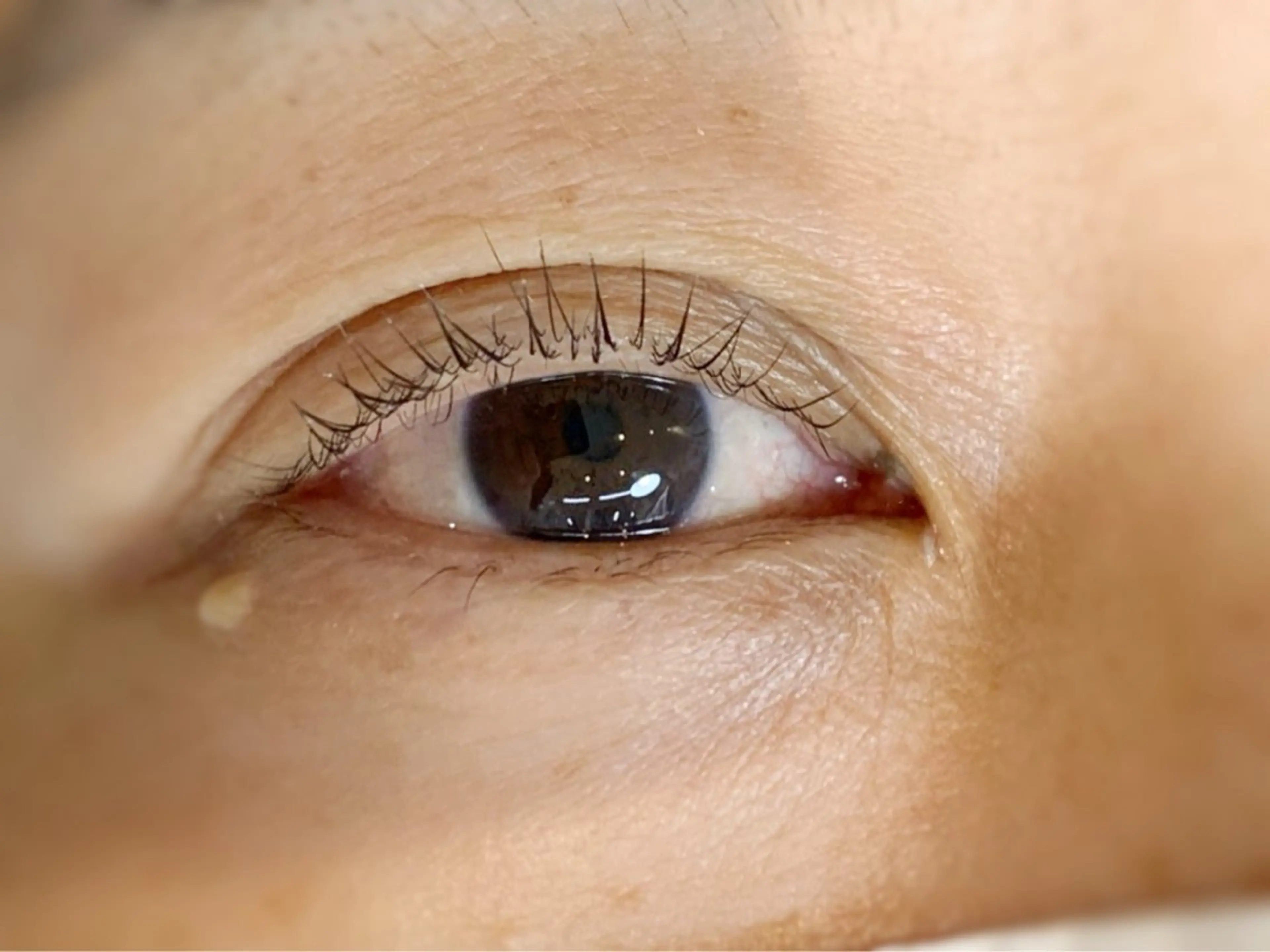 マツエク・マツパ 堀 和恵の眉毛・アイブロウイメージ