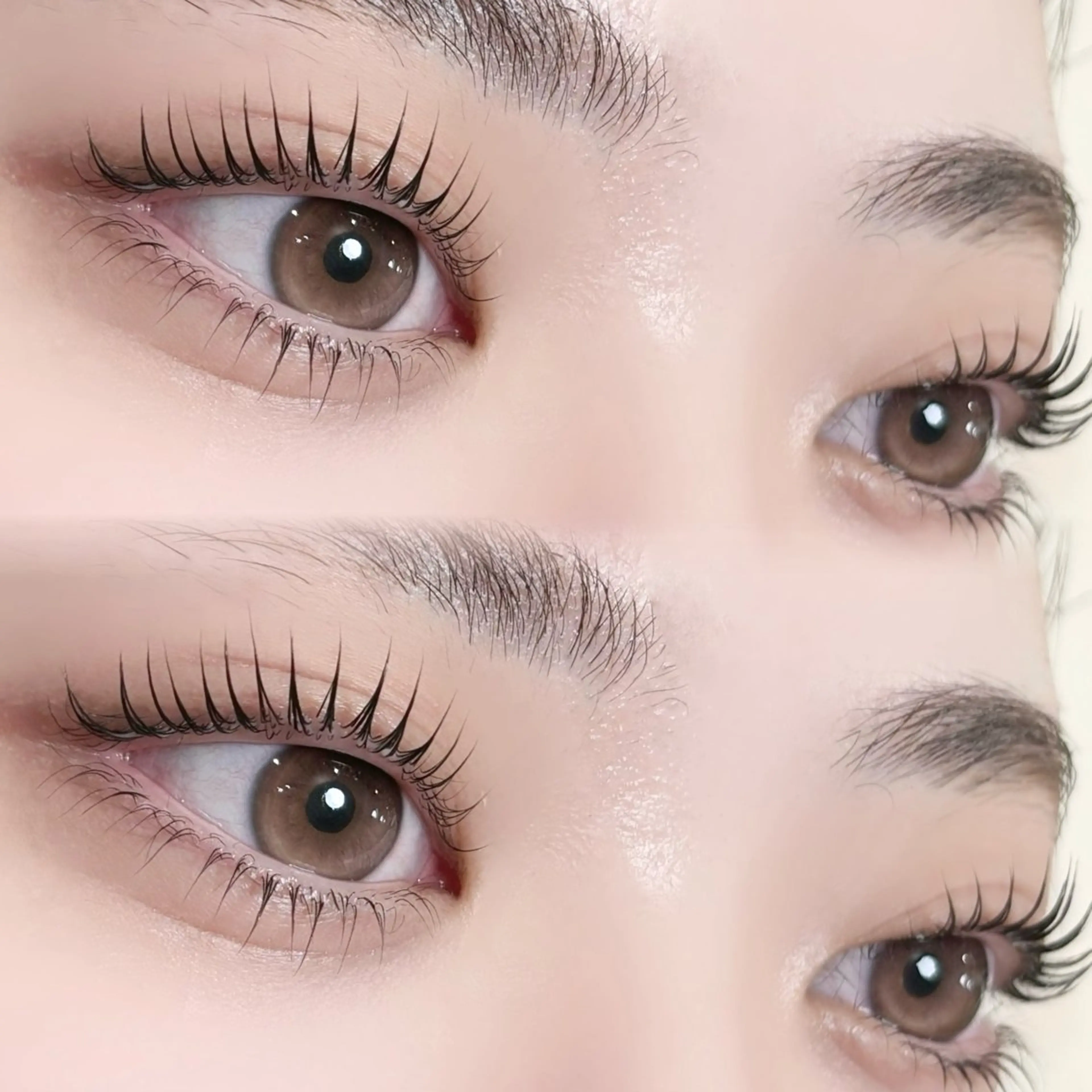 上下パリジェンヌラッシュリフトの写真