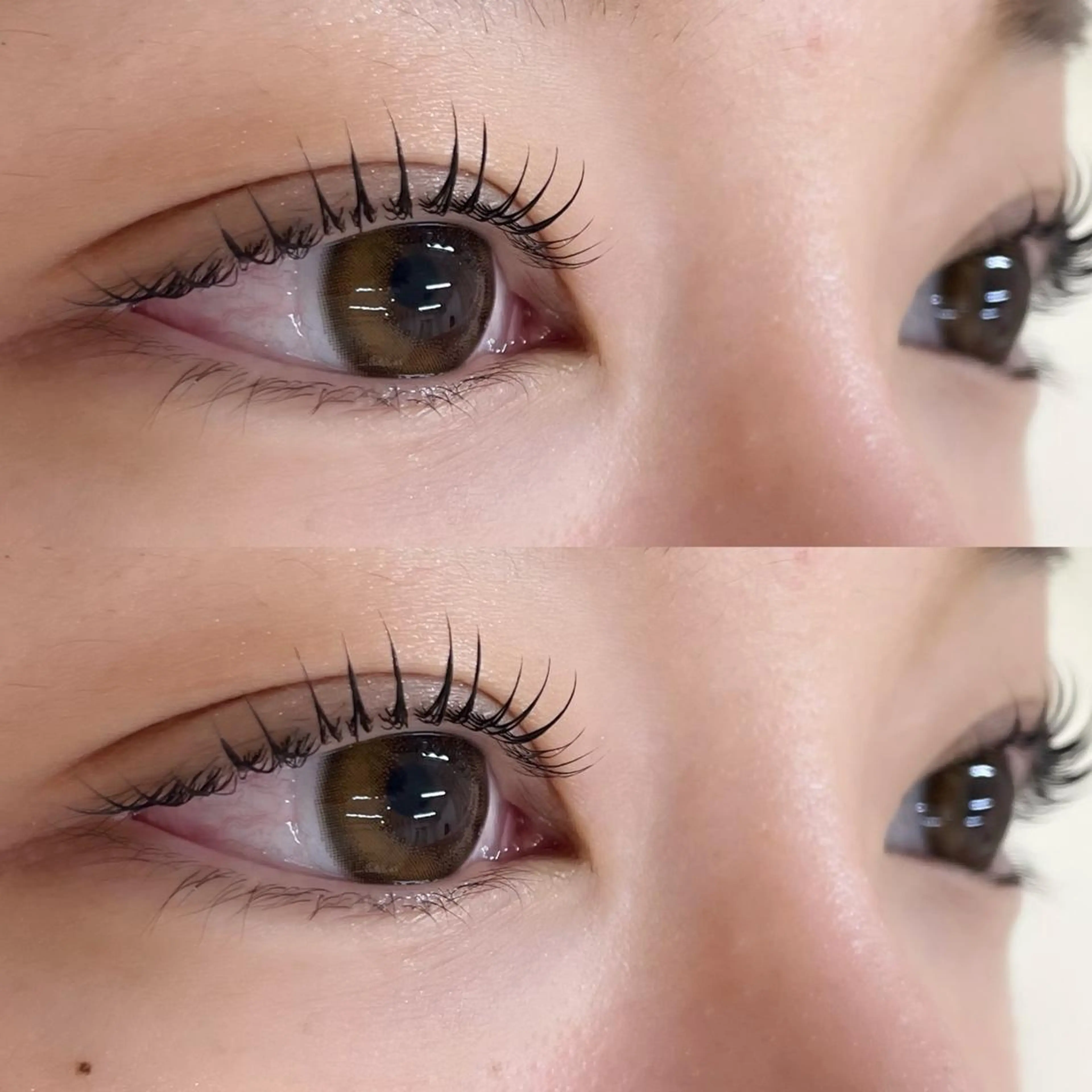 マツエク・マツパ マツパ shuon 武蔵境店所属・【武蔵境店】工藤 さくらのマツエク・マツパデザイン