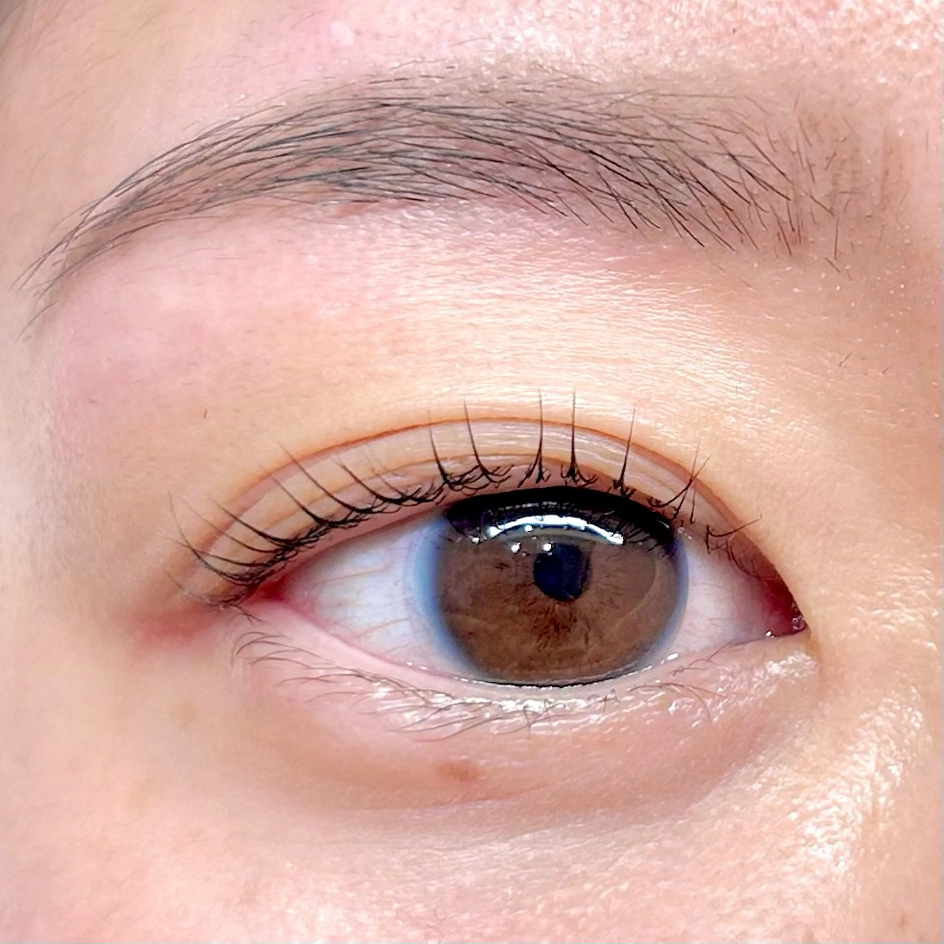 マツエク・マツパ アイブロウ/HBL 🦄MEMEの眉毛・アイブロウイメージ