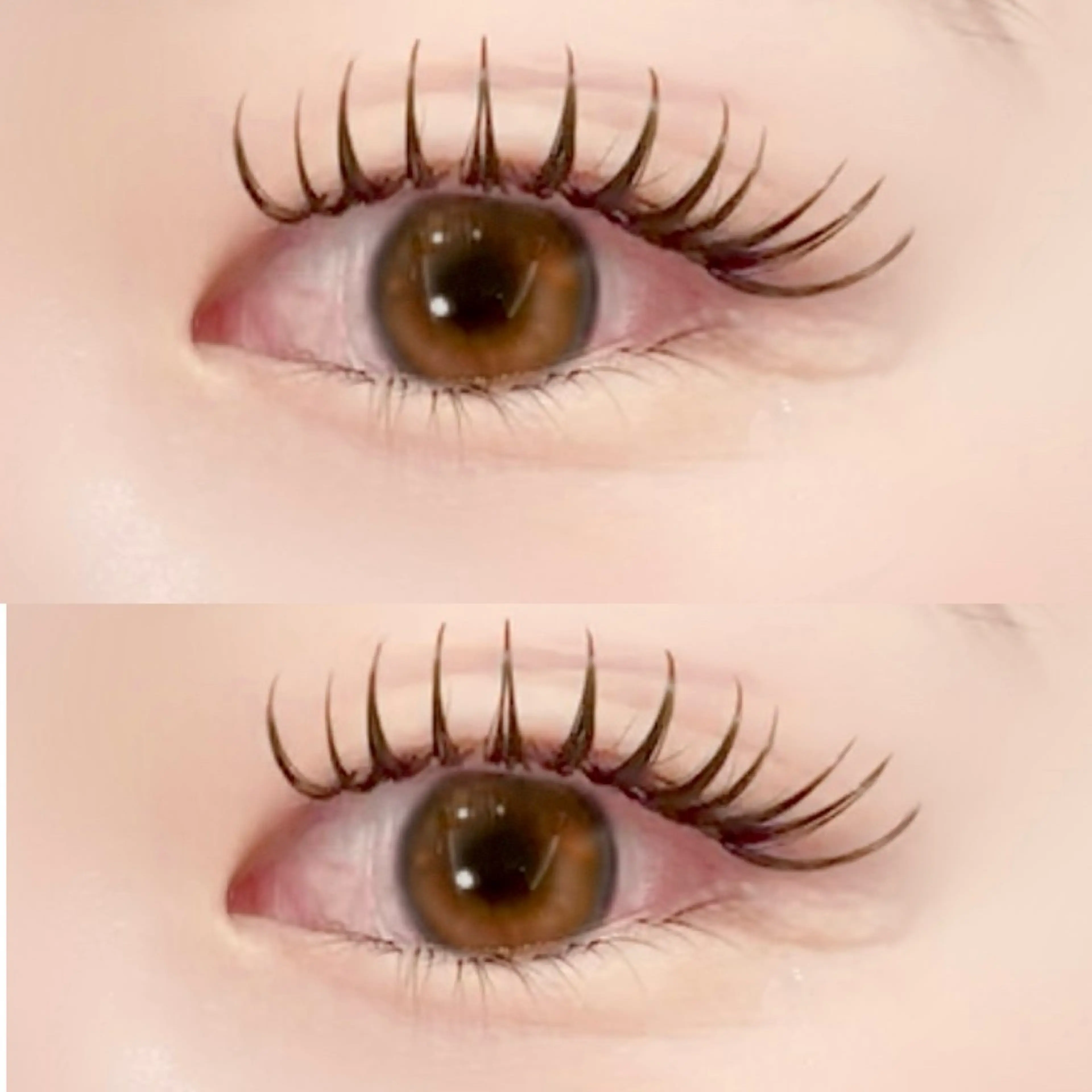 《持続力No.1❤️‍🔥》バインドロック120束【本数追加20束＋1000円】の写真