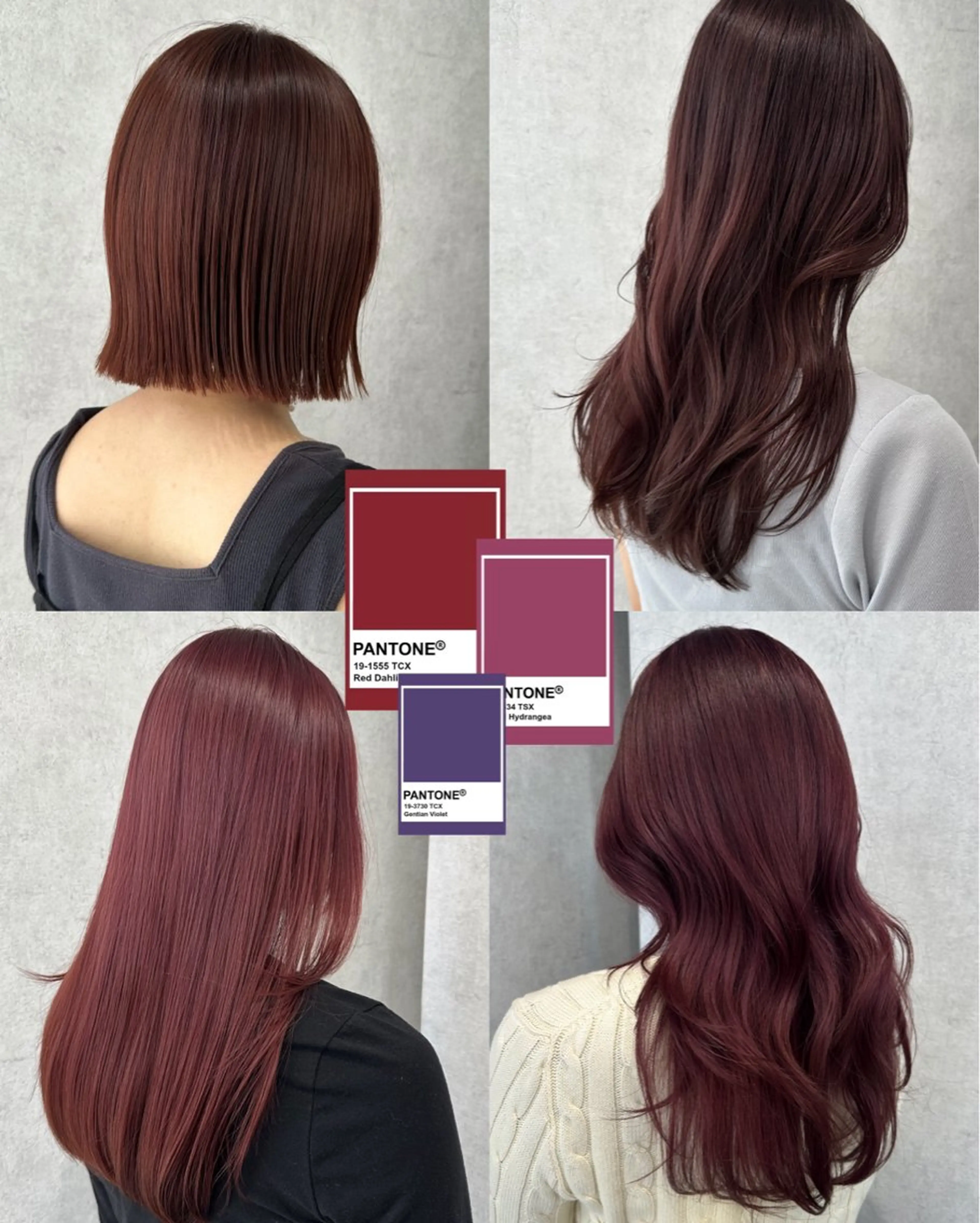 セミロング カラー ヘアカラー トリートメント 韓国レイヤーカット/ 艶カラー/ noaのヘアスタイル