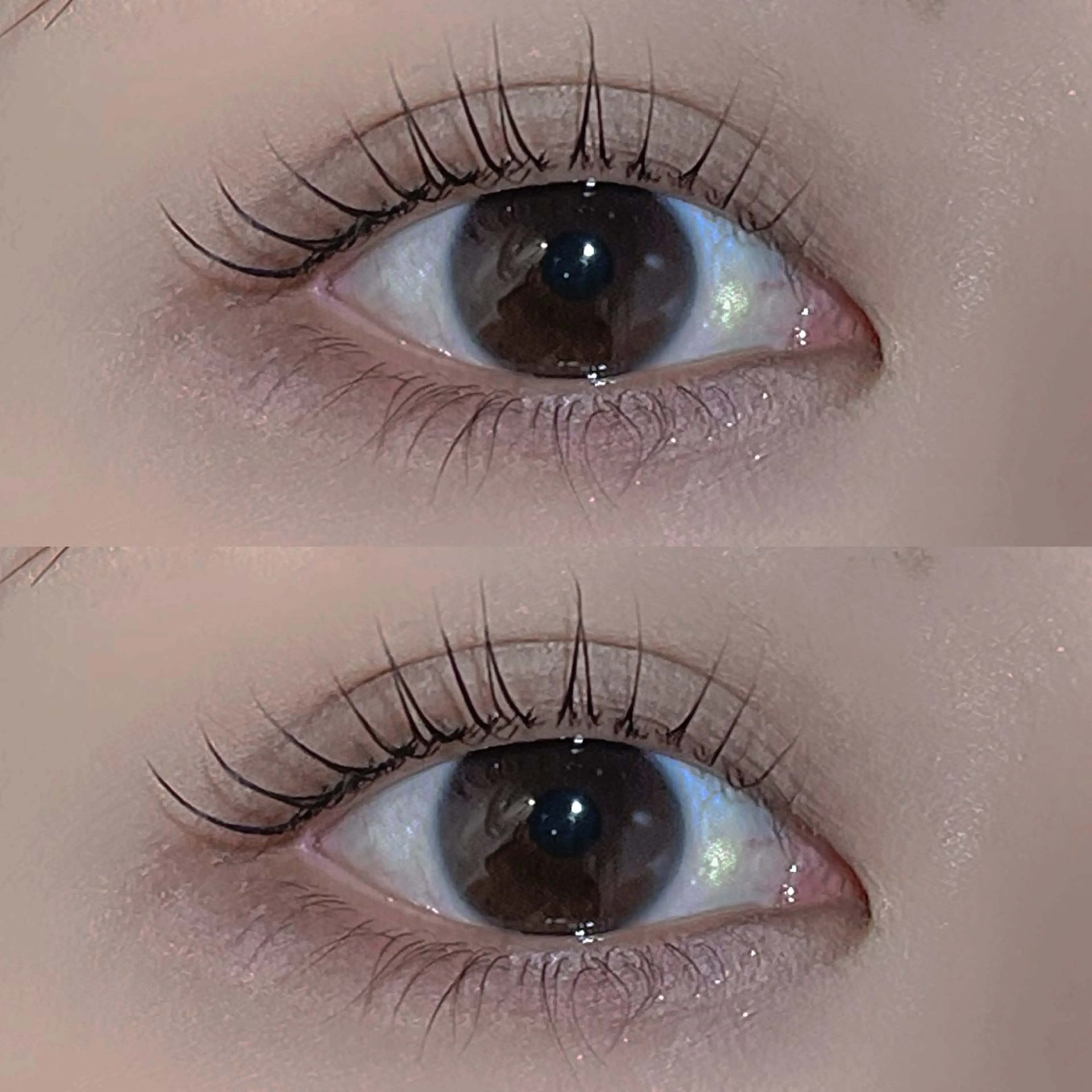 【ご新規様🌟】上まつ毛パーマ✨(コーティング保湿付き︎︎☁)の写真