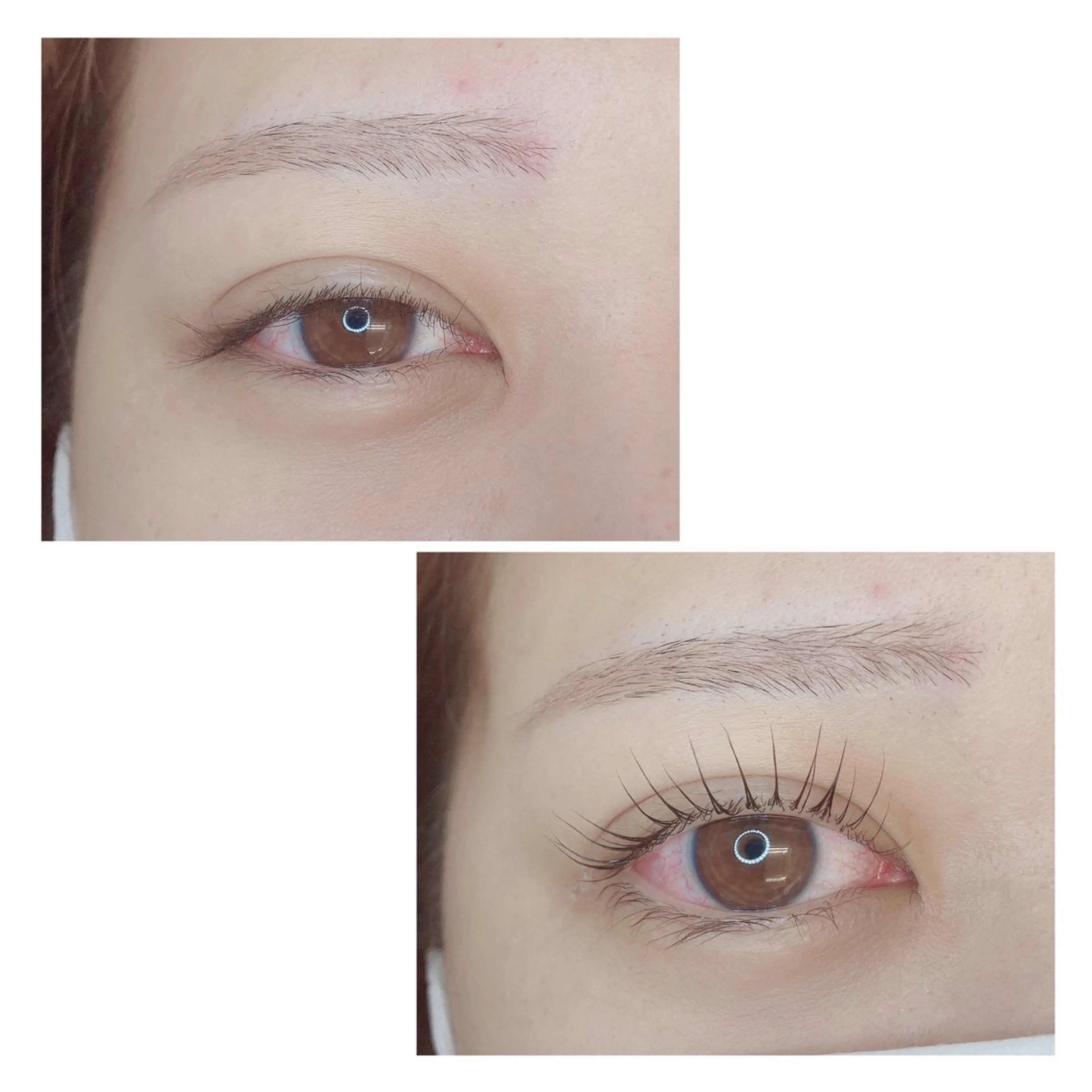 マツエク・マツパ TIARA池袋西口店 店長YASUKA💐のマツエク・マツパデザイン