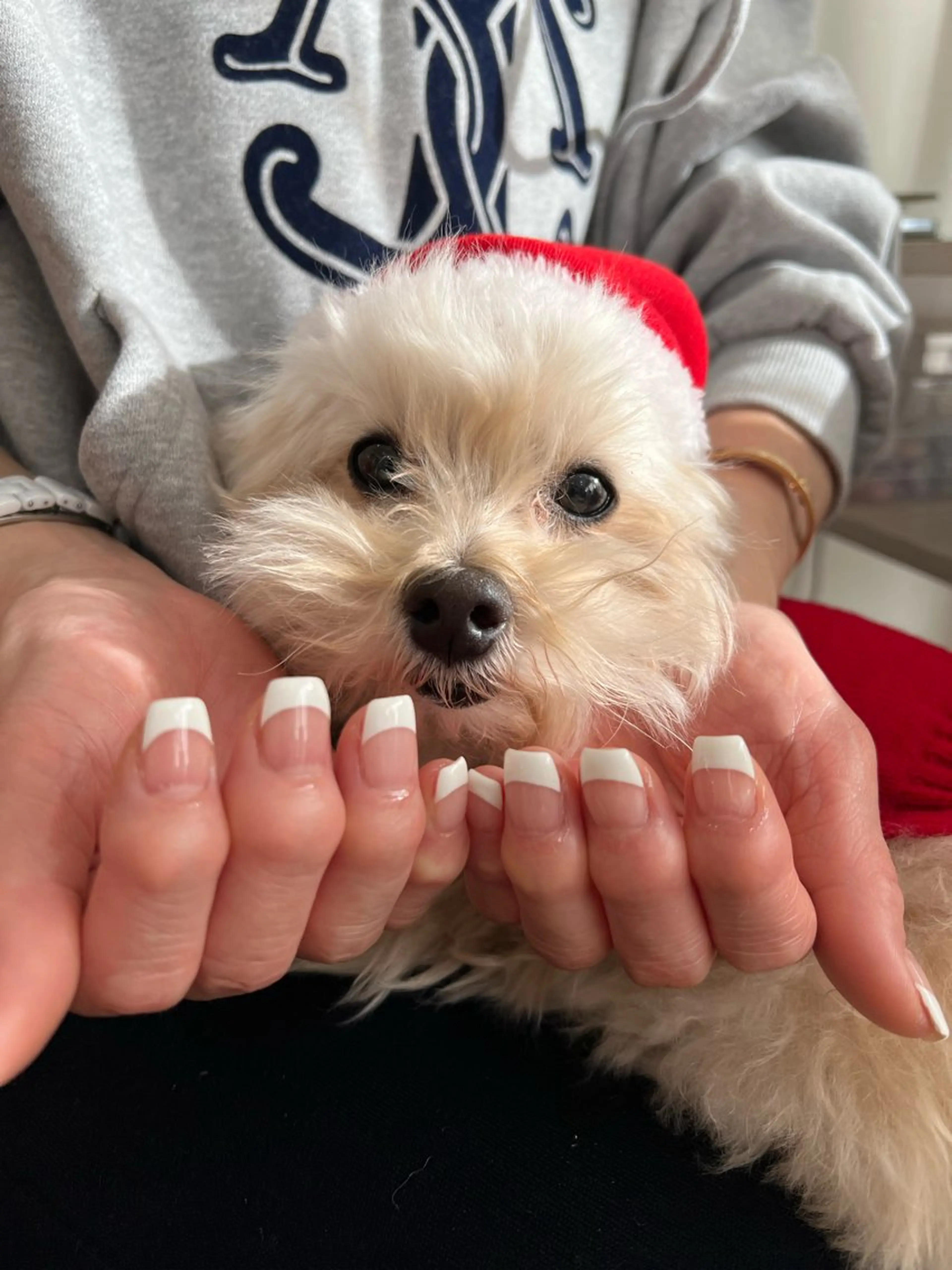 ネイル ハンドネイル フットネイル ハンドケア Nes.Nail所属・Miyagi Asamiのネイルデザイン