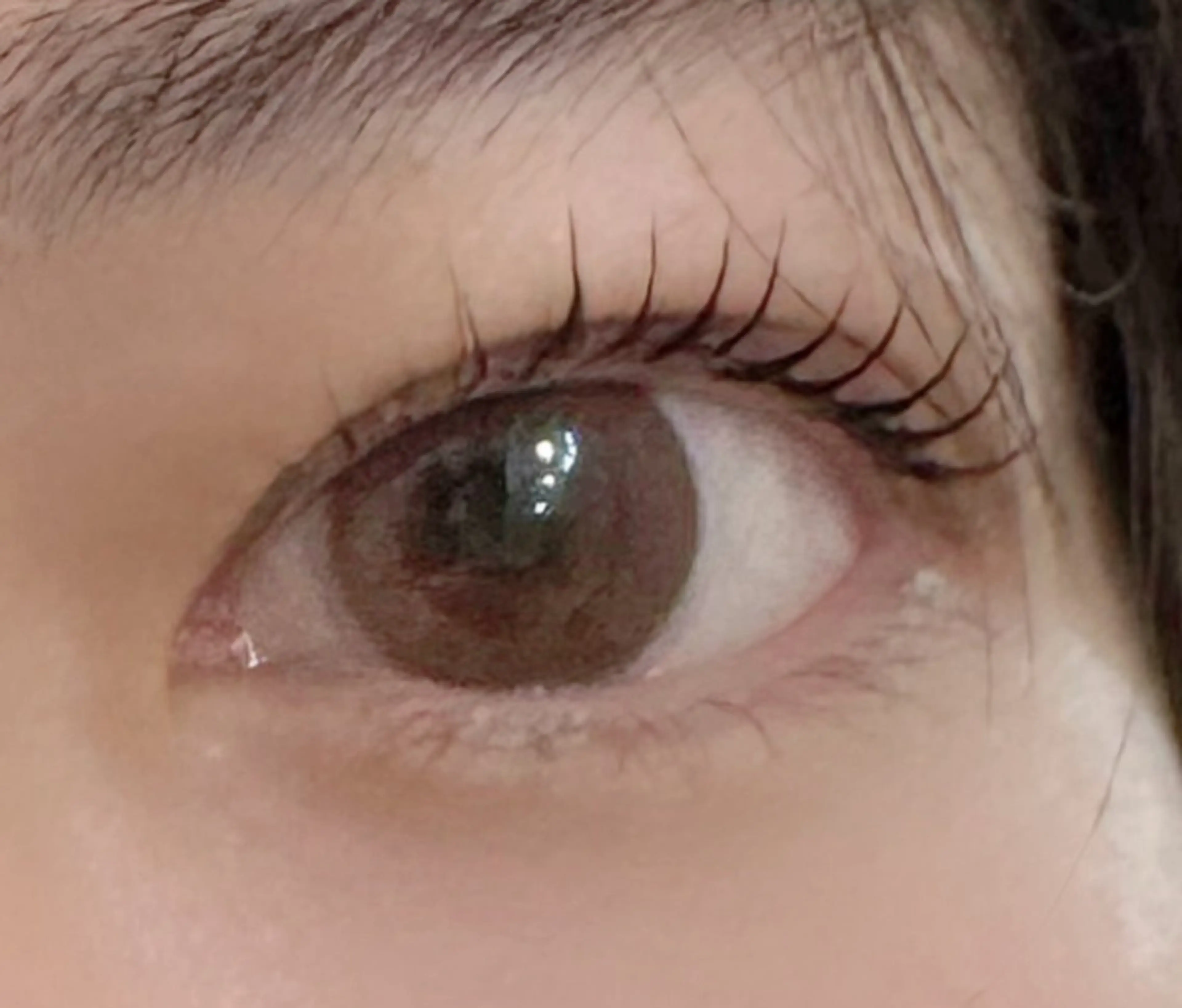 マツエク・マツパ ココラッシュ所属・ココラッシュ🤍 Hinakoのマツエク・マツパデザイン