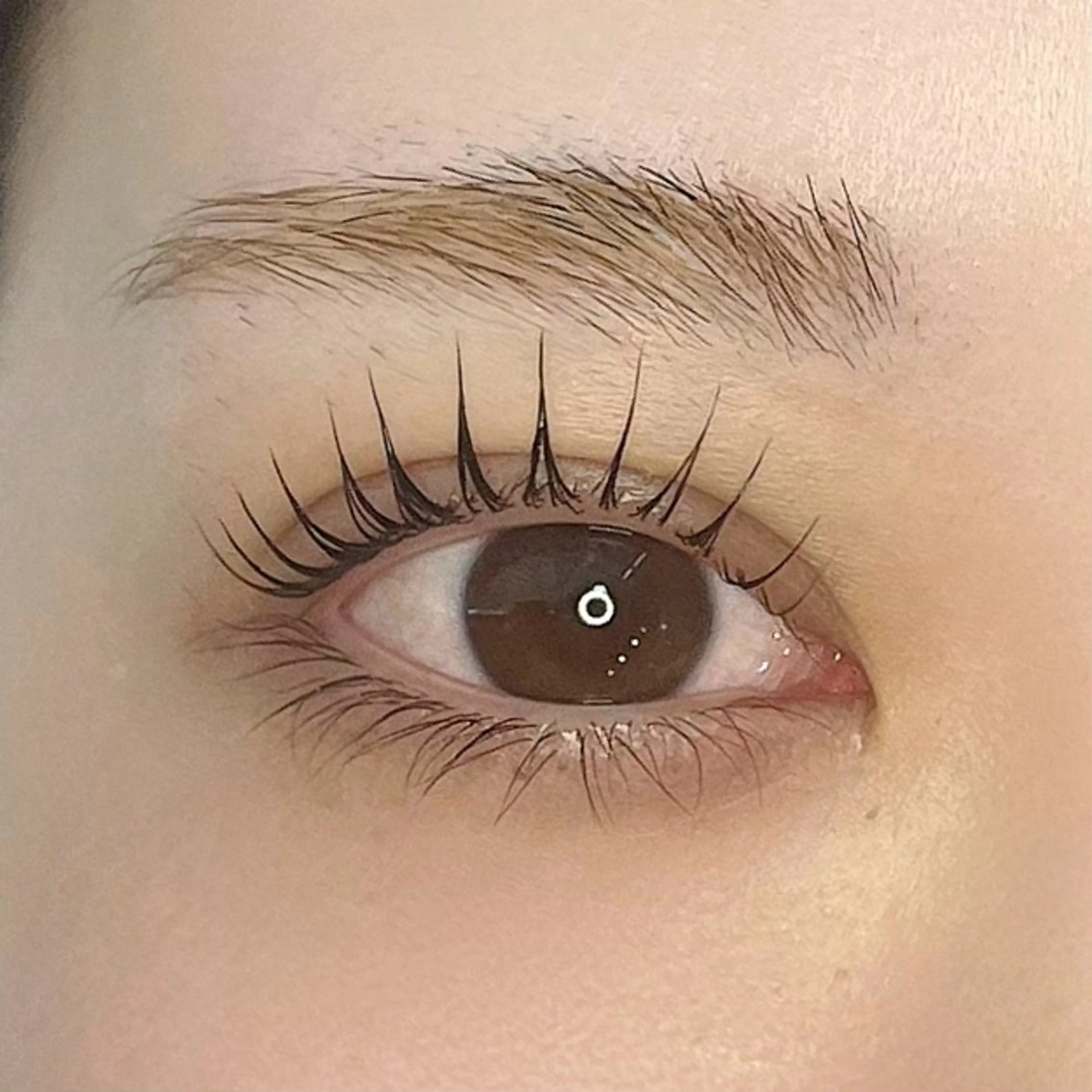 マツエク・マツパ パリジェンヌラッシュリフト chipieee Mariのマツエク・マツパデザイン