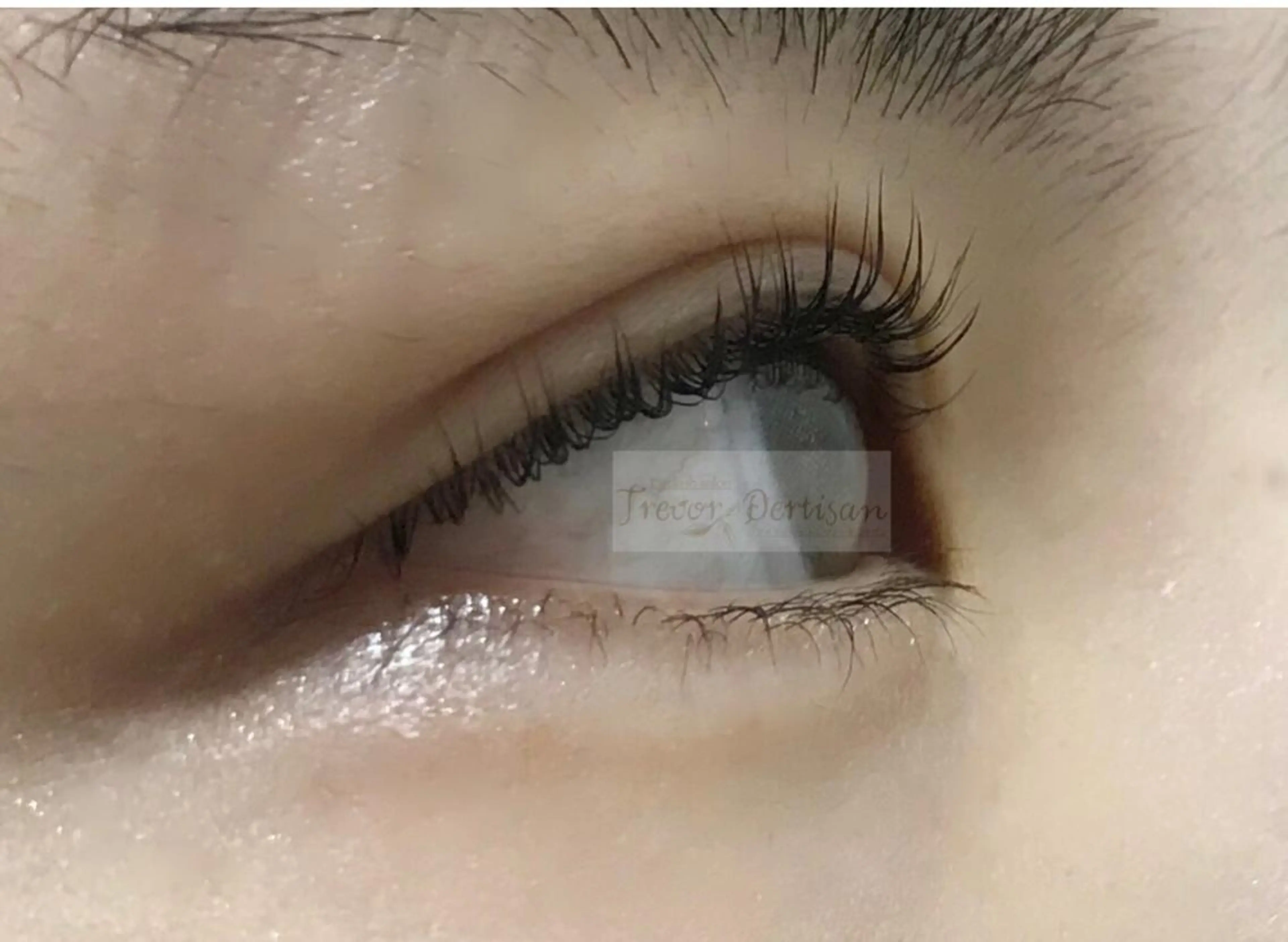 マツエク・マツパ トレヴァーデルチザン inuiのマツエク・マツパデザイン