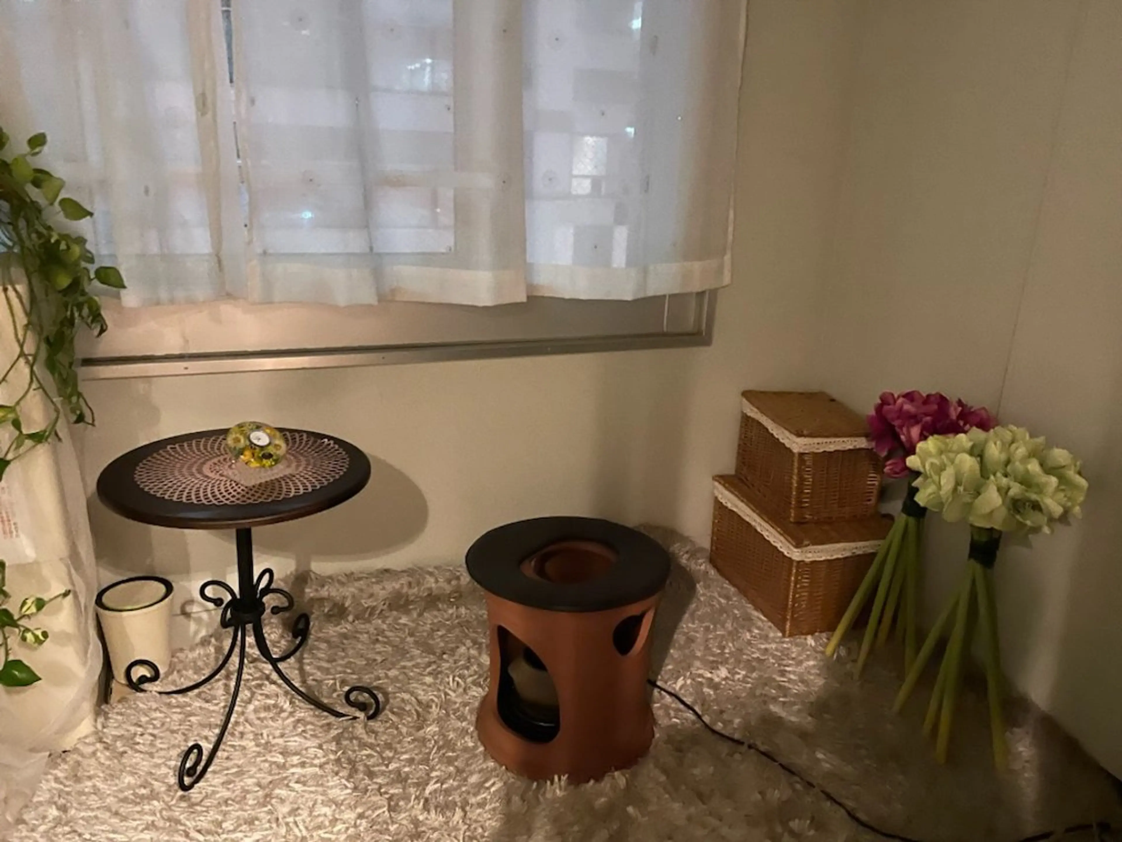 韓国産　漢方よもぎ蒸しの写真