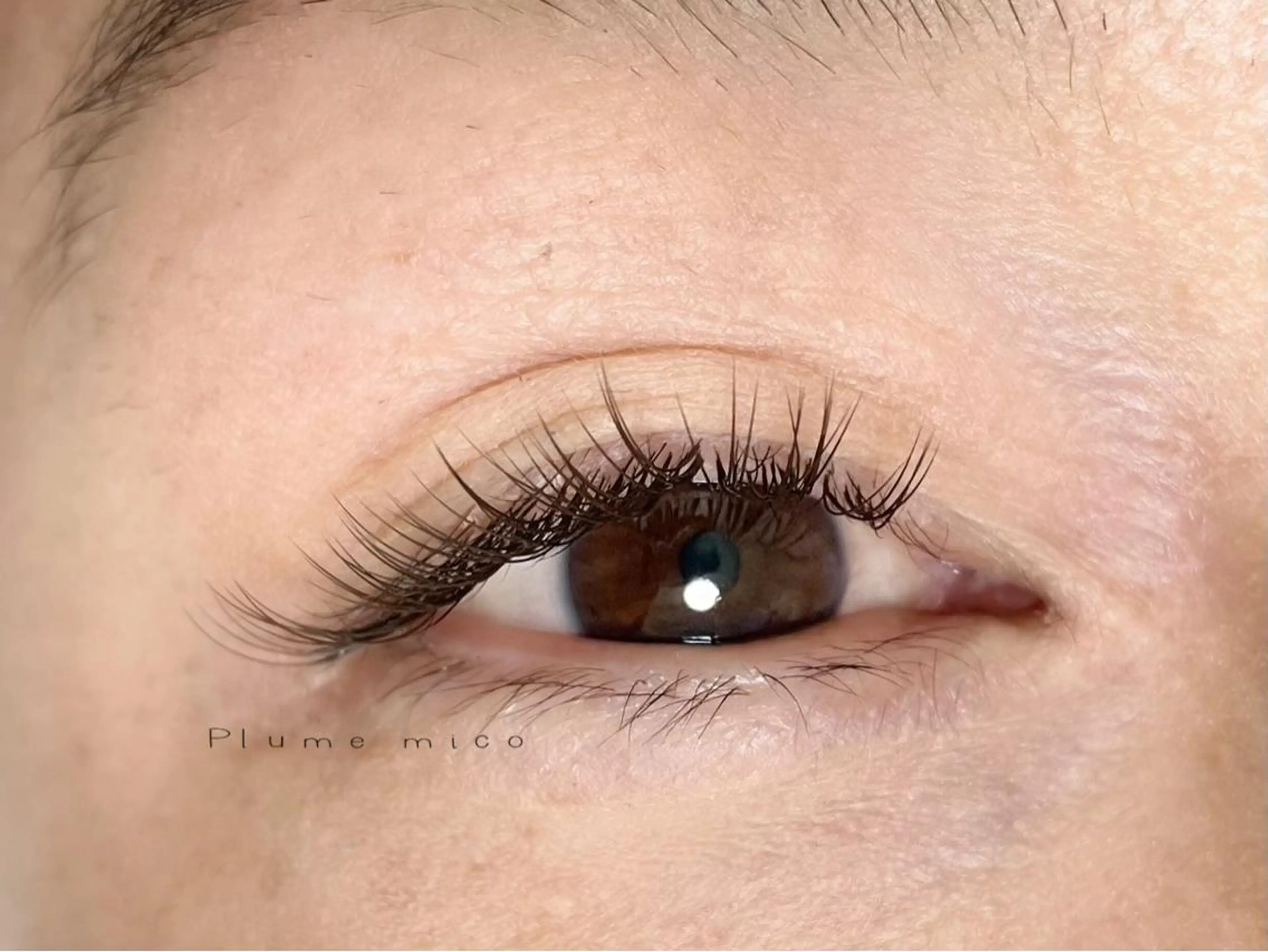 マツエク・マツパ マツエク Plume micoのマツエク・マツパデザイン