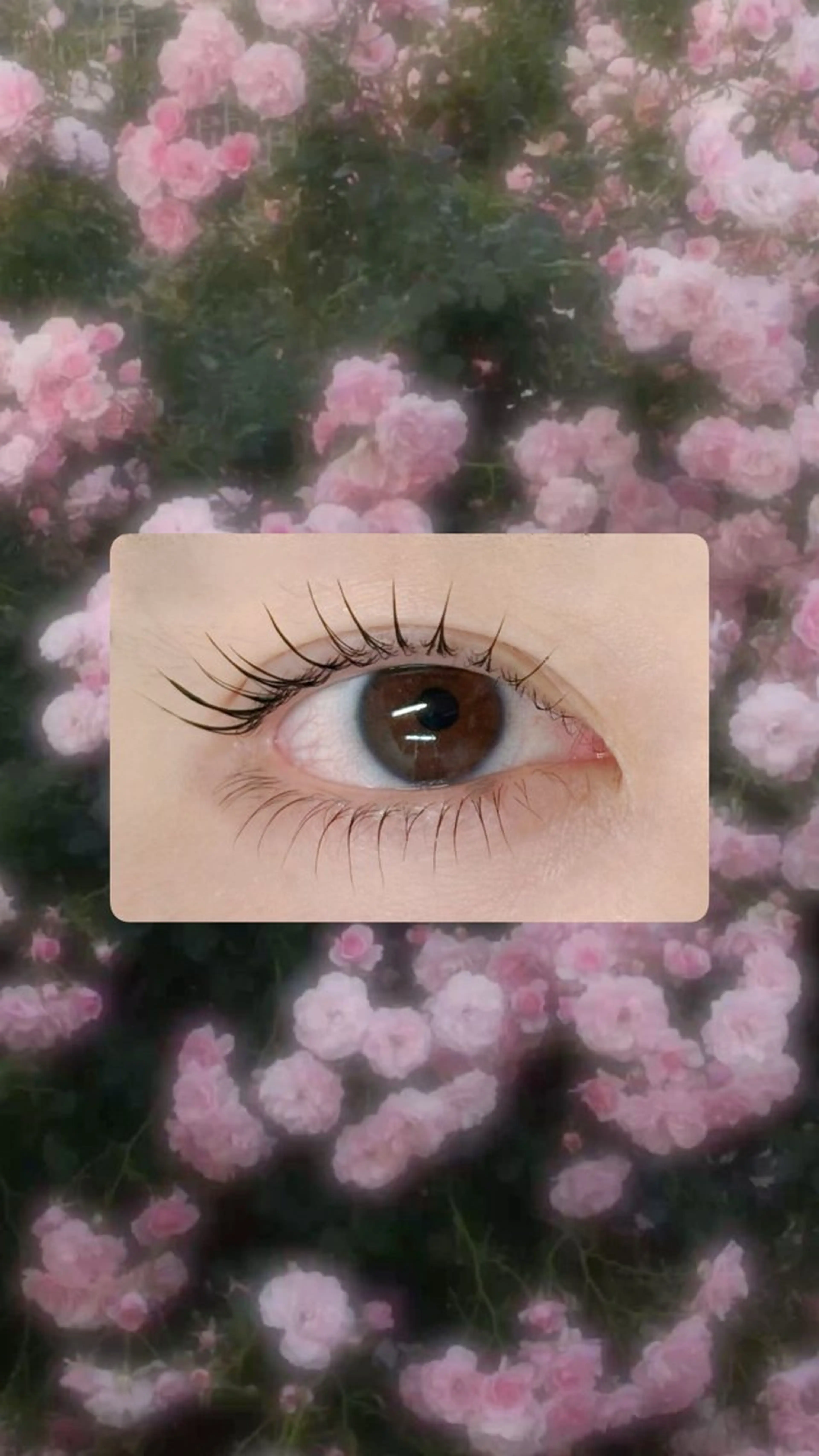 マツエク・マツパ Ai / Limier 金沢店のマツエク・マツパデザイン