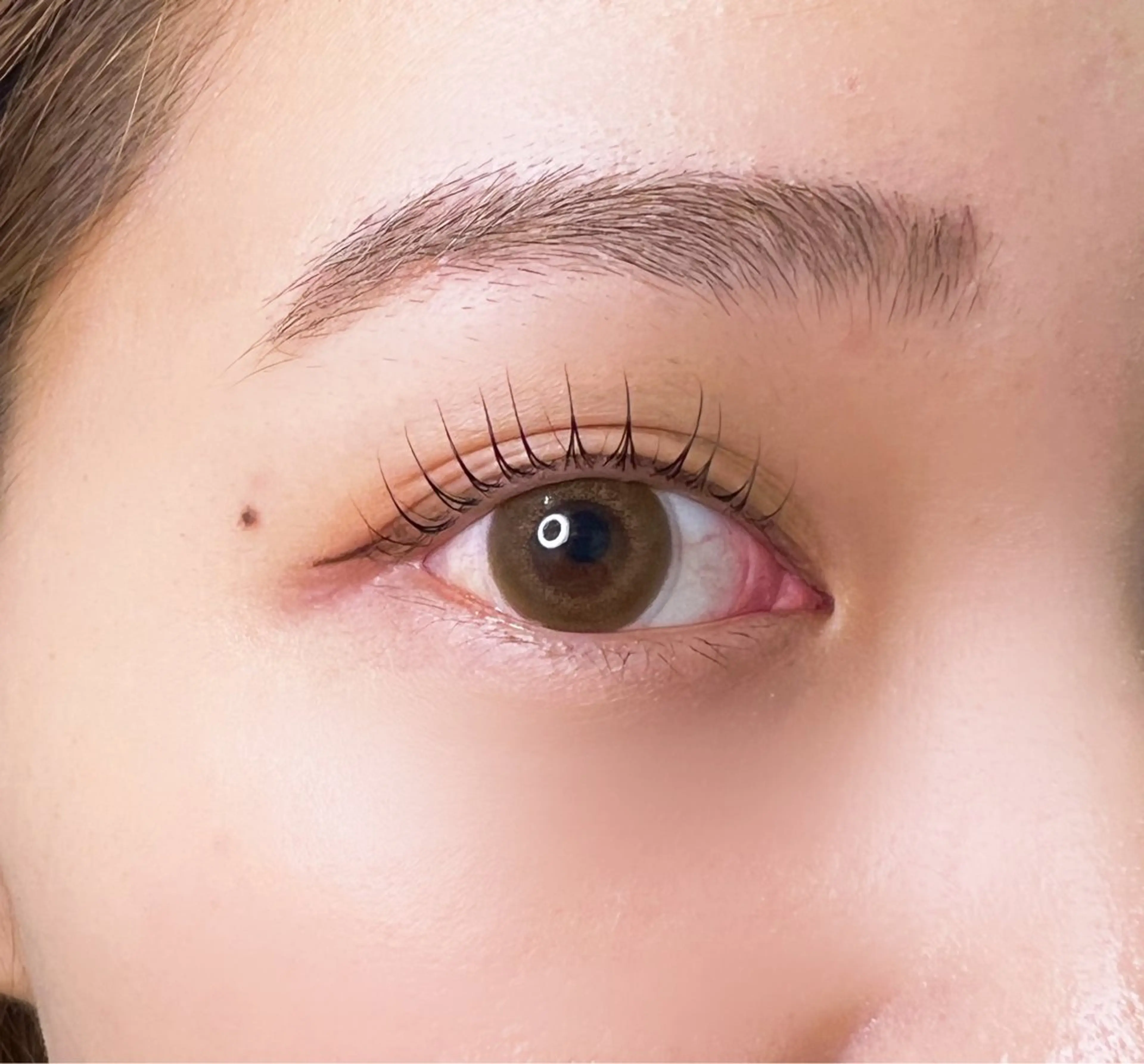 💛minimo限定価格💛【束感◎人気No1💕】パリジェンヌラッシュリフト🍓の写真