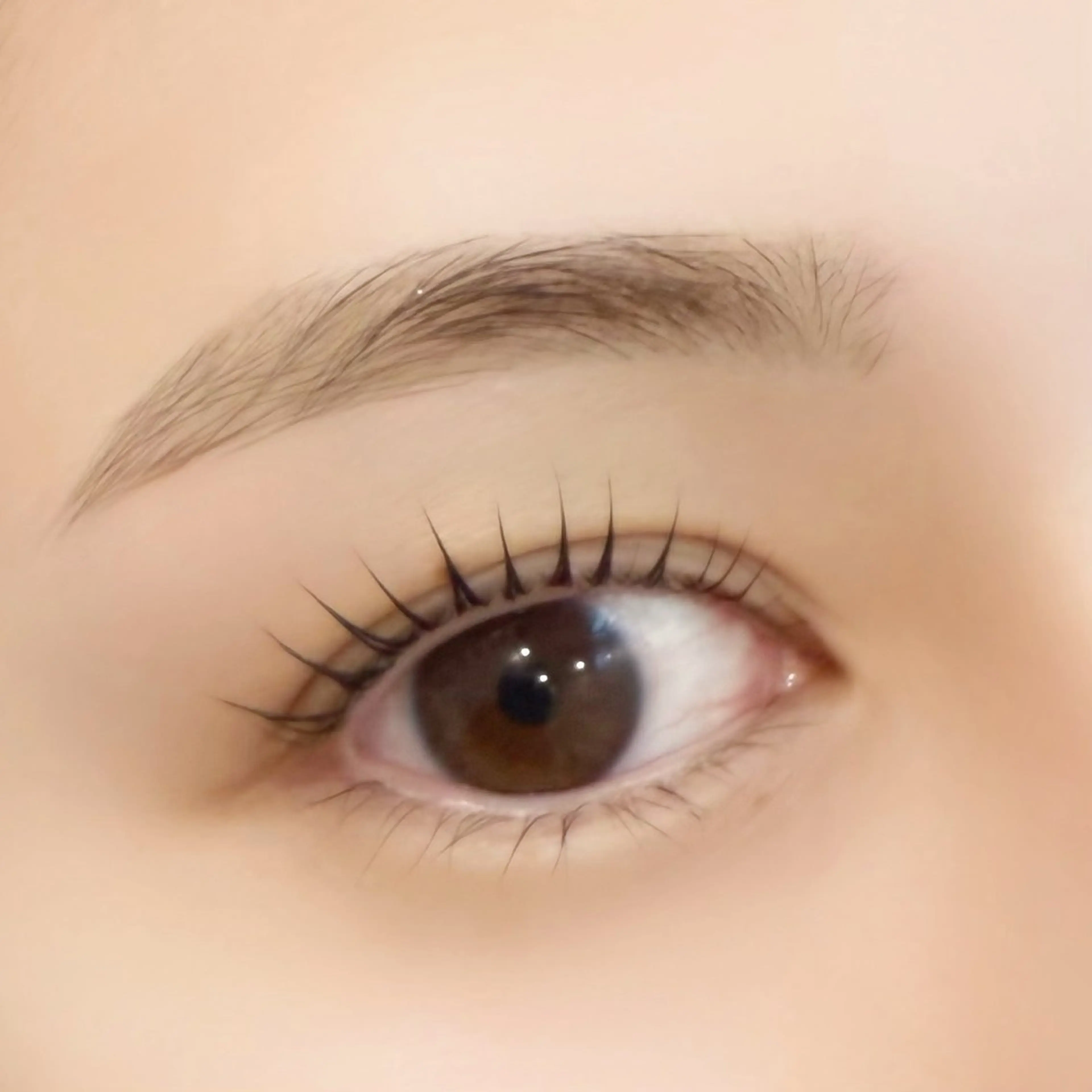 マツエク・マツパ YOSHIDA 🐰桜木町店のマツエク・マツパデザイン