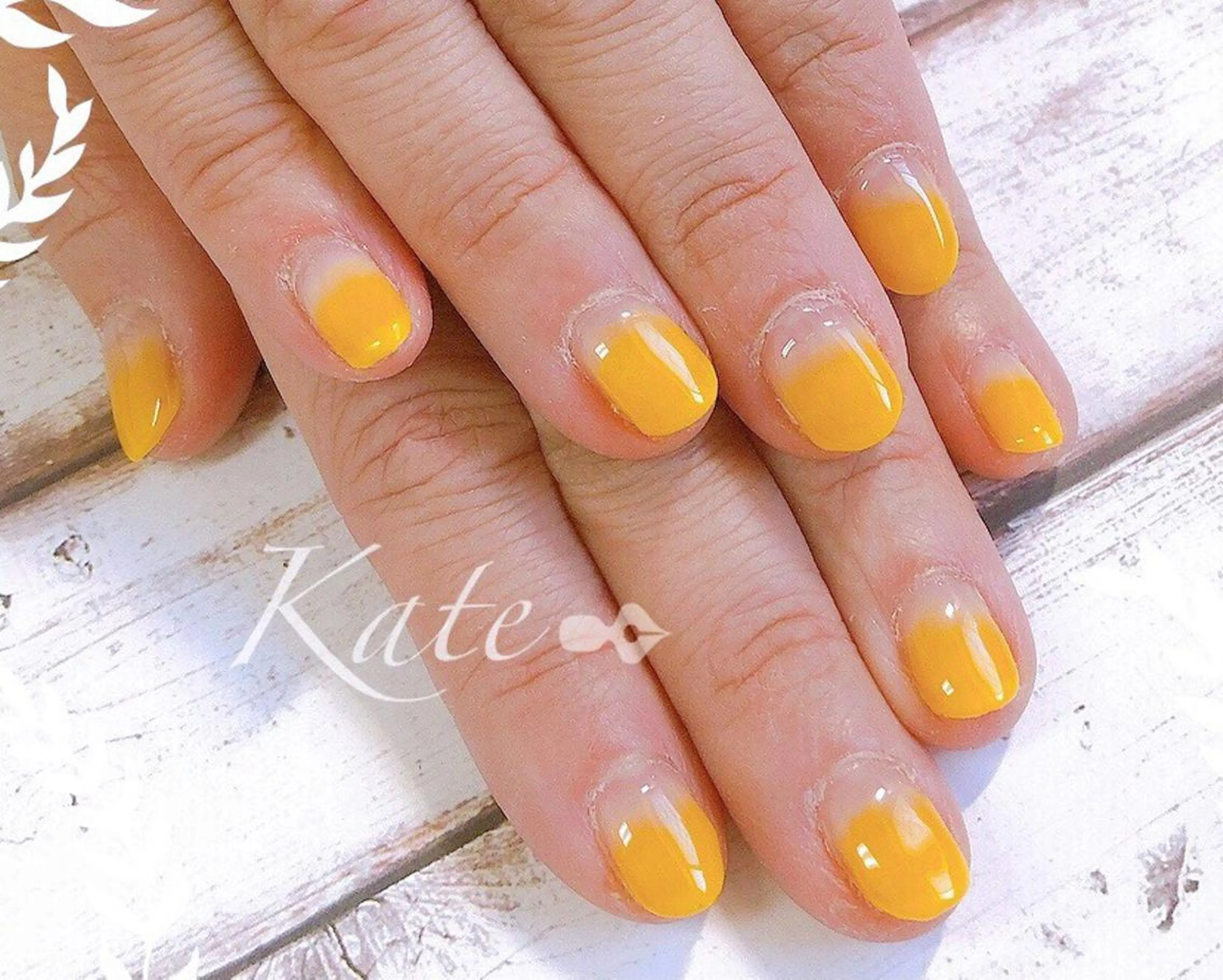 🪴期間限定🌱カラグラ研究1色🧪色選び不可/オフケア無し🌿の写真