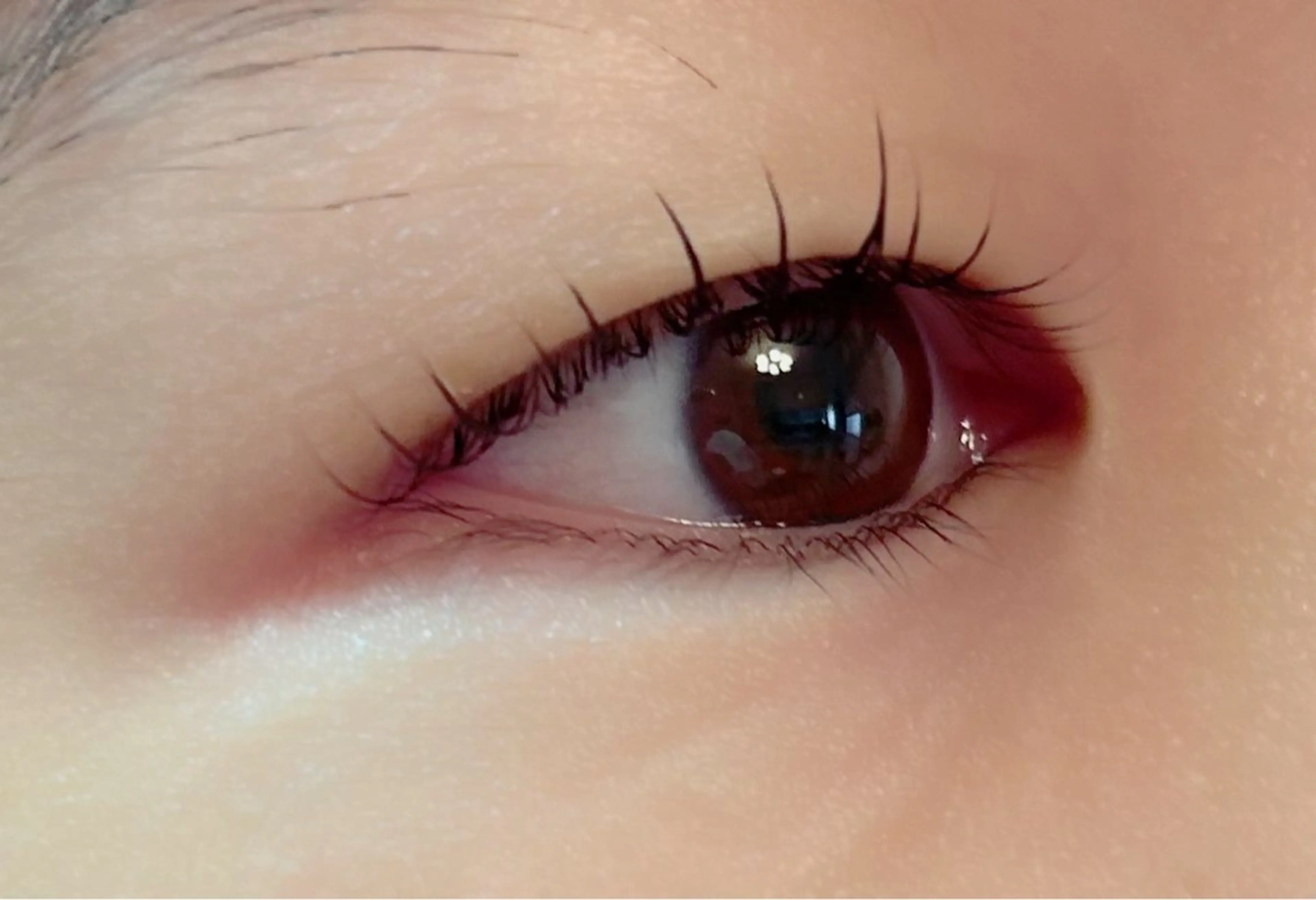 ダメージレスまつ毛パーマ　アイシャンプーとトリートメントケアコーティング付きの写真