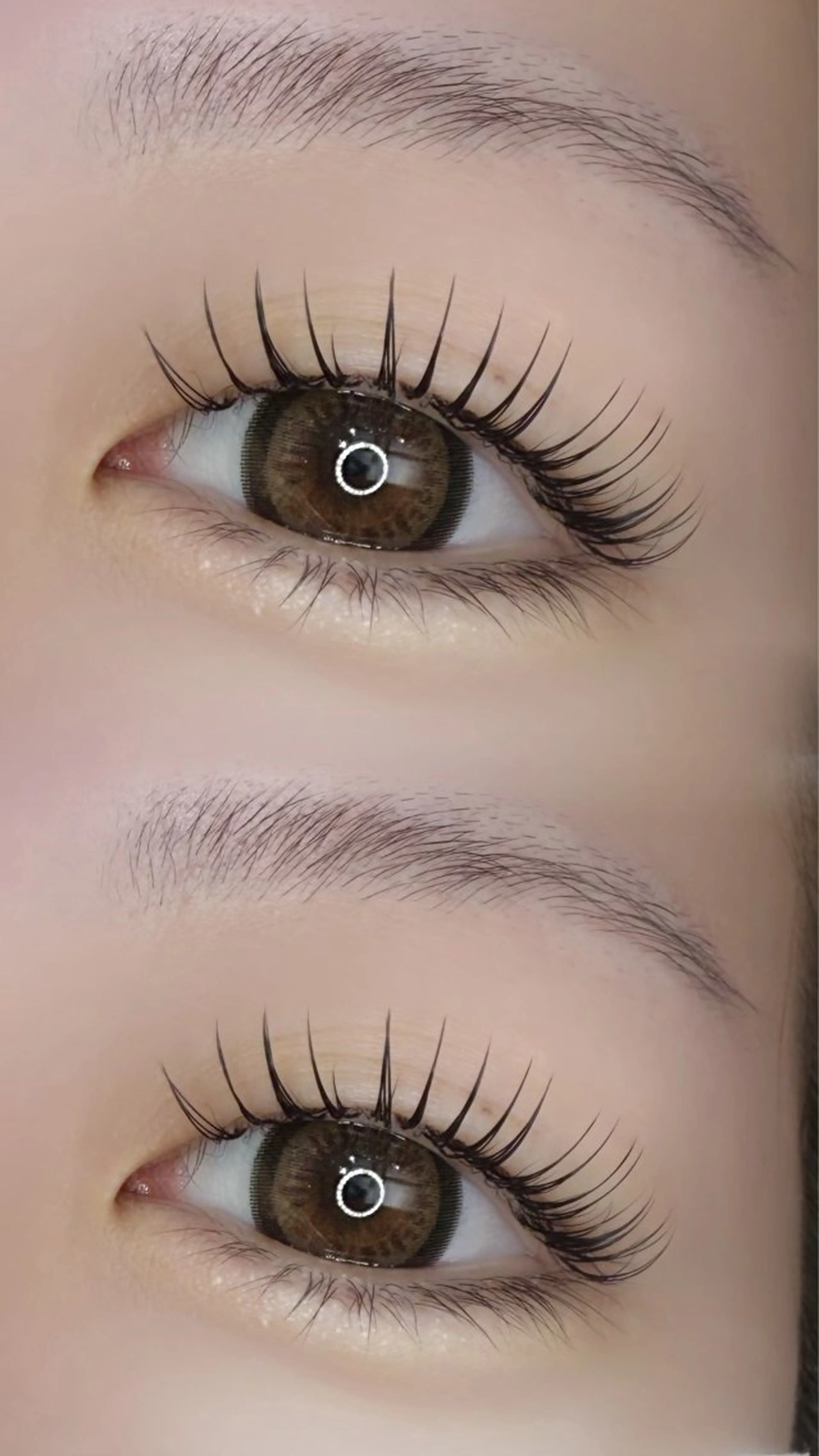 ✨️リピーター様✨️【エクパ付け足し】50本の写真