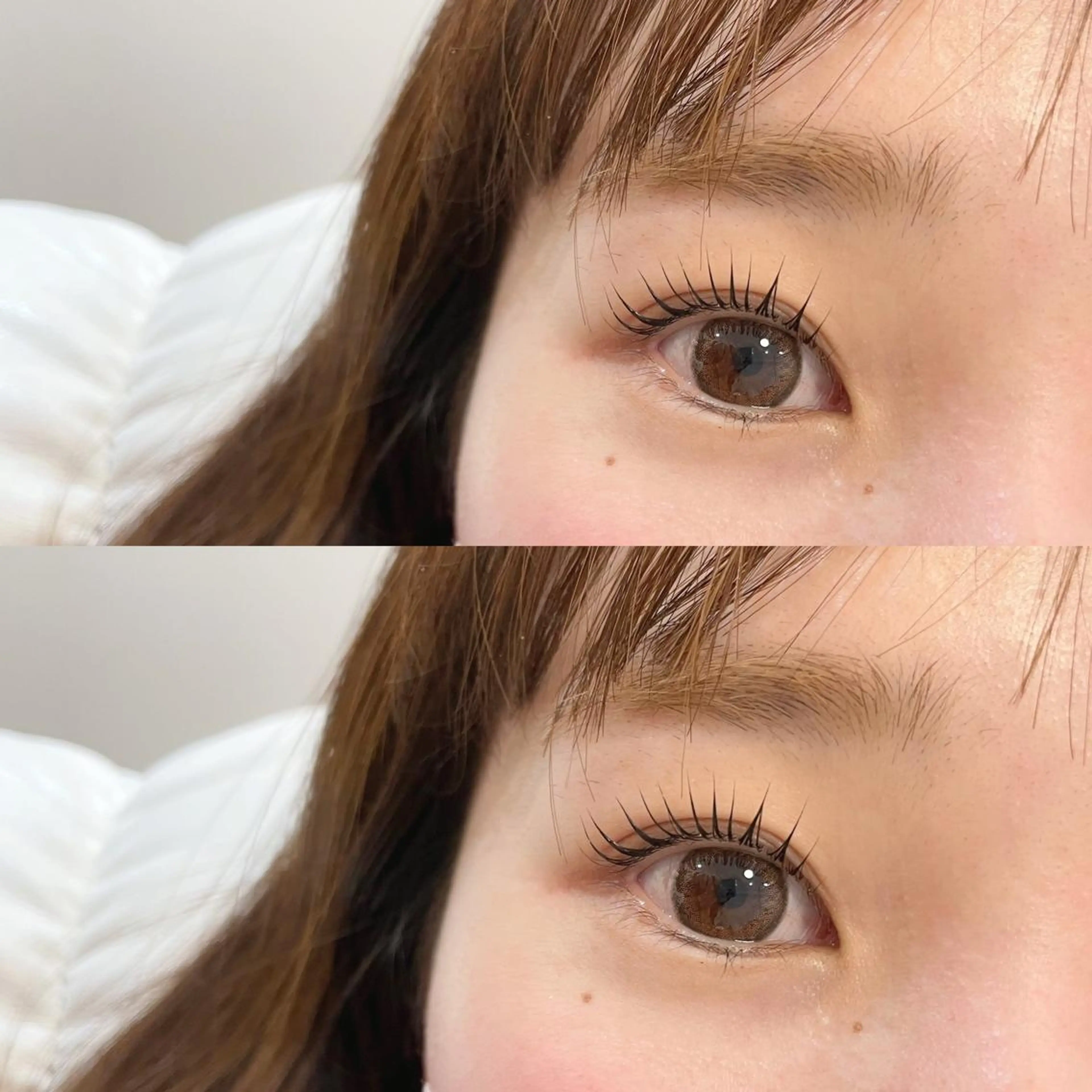 パリジェンヌ/オーダーメイドラッシュリフト🍋の写真