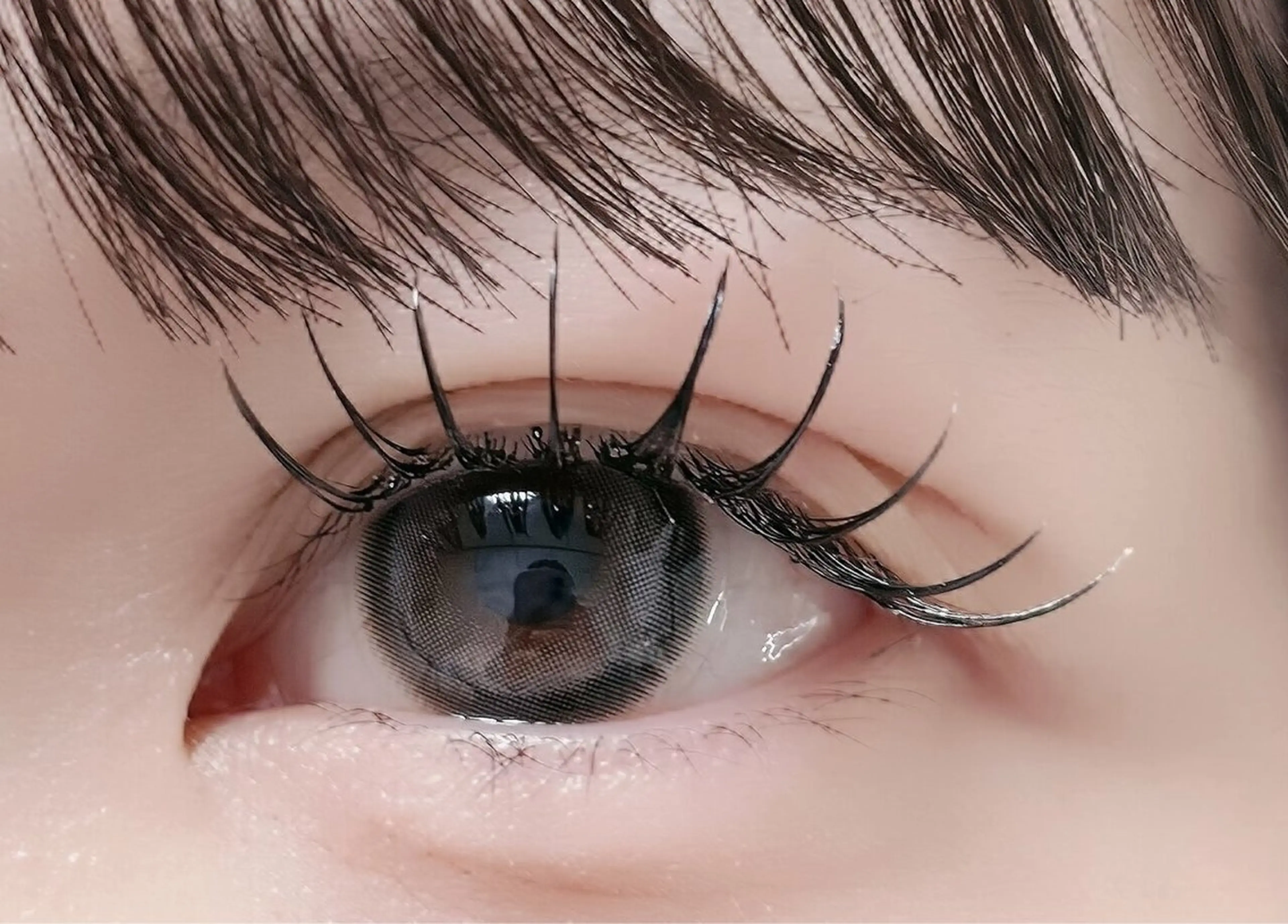 🖤韓国発ブラックティント🖤まつ毛パーマ上+コーティング付きの写真