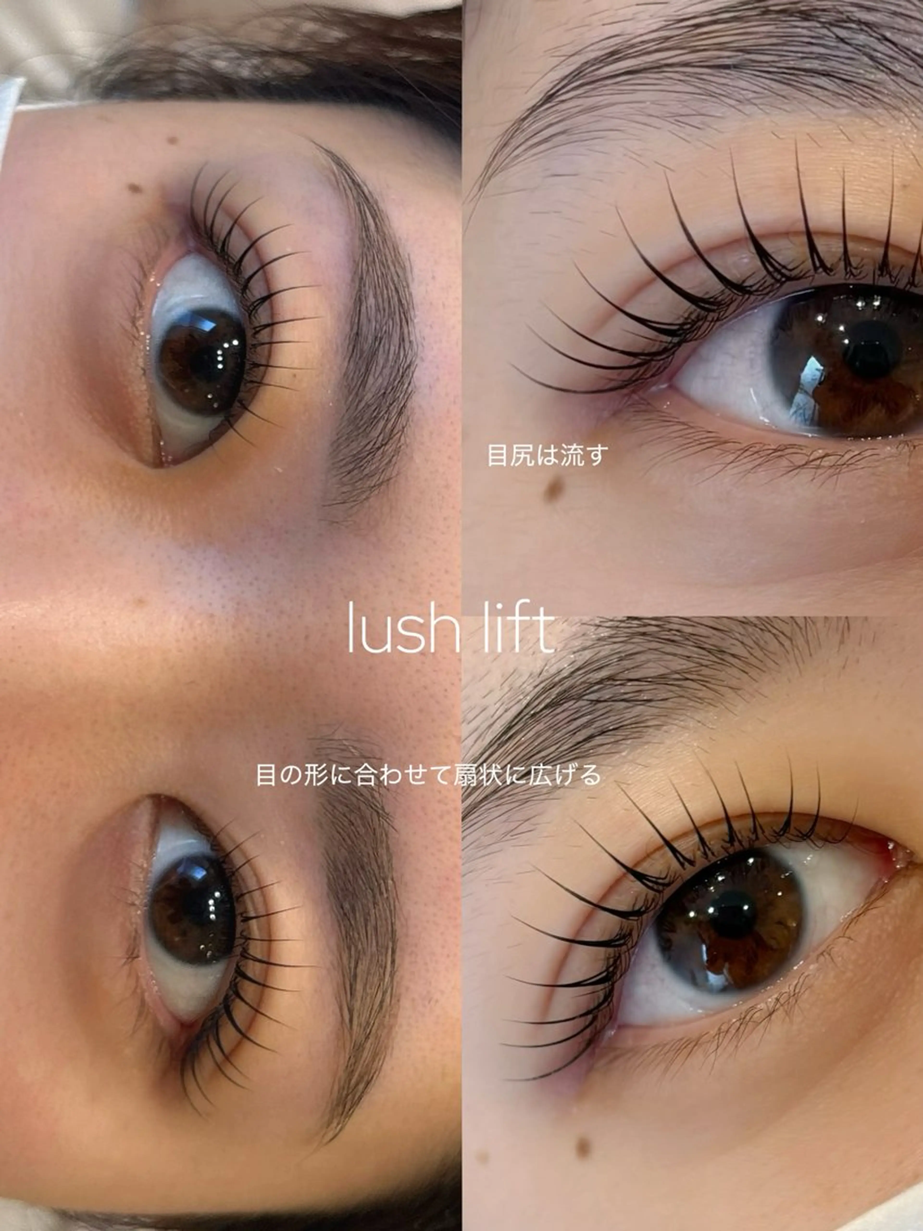 まつ毛パーマ☘️ 前処理、中間処理、アフタートリートメント、アイシャンプー、コーティング付き。東感まつ毛も◎の写真