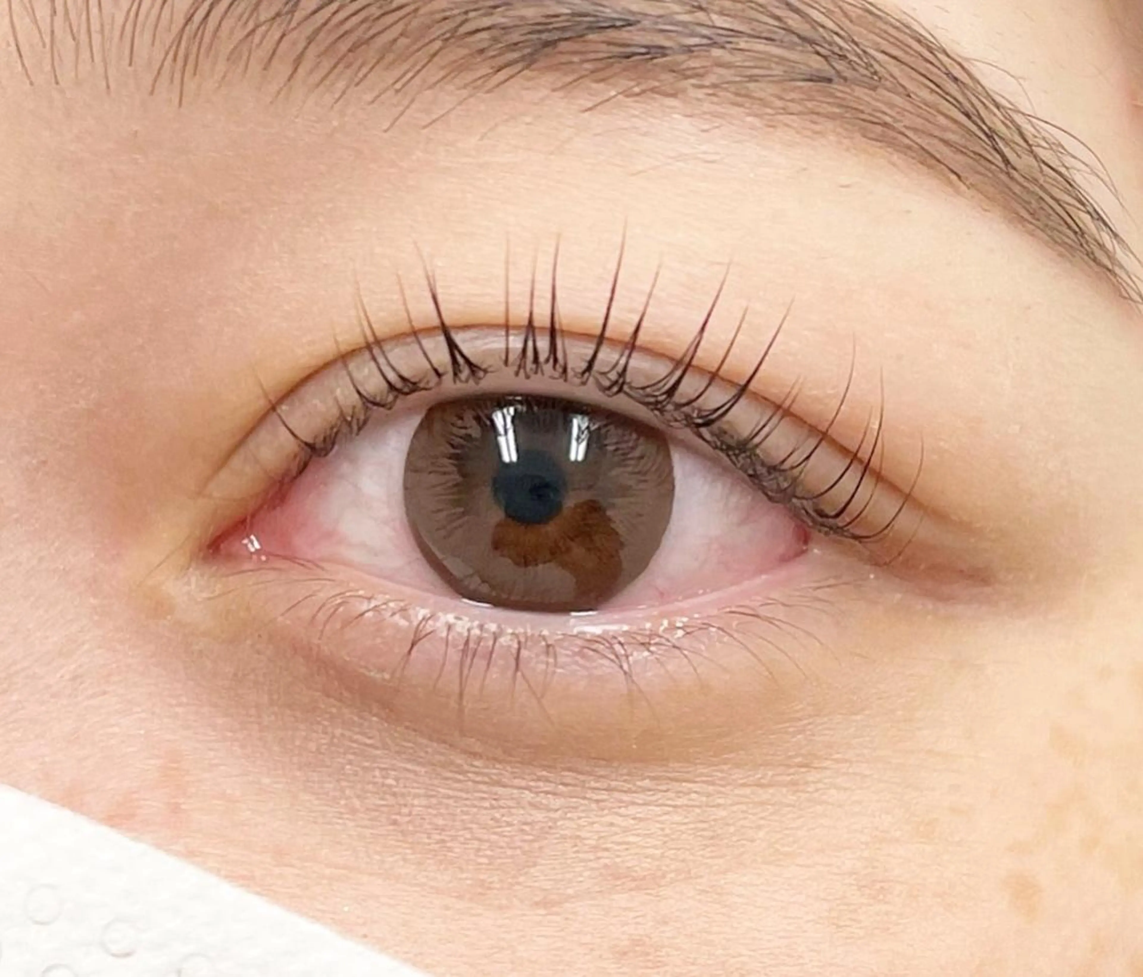 マツエク・マツパ まつげパーマ Eyelash Salon Emmaのマツエク・マツパデザイン