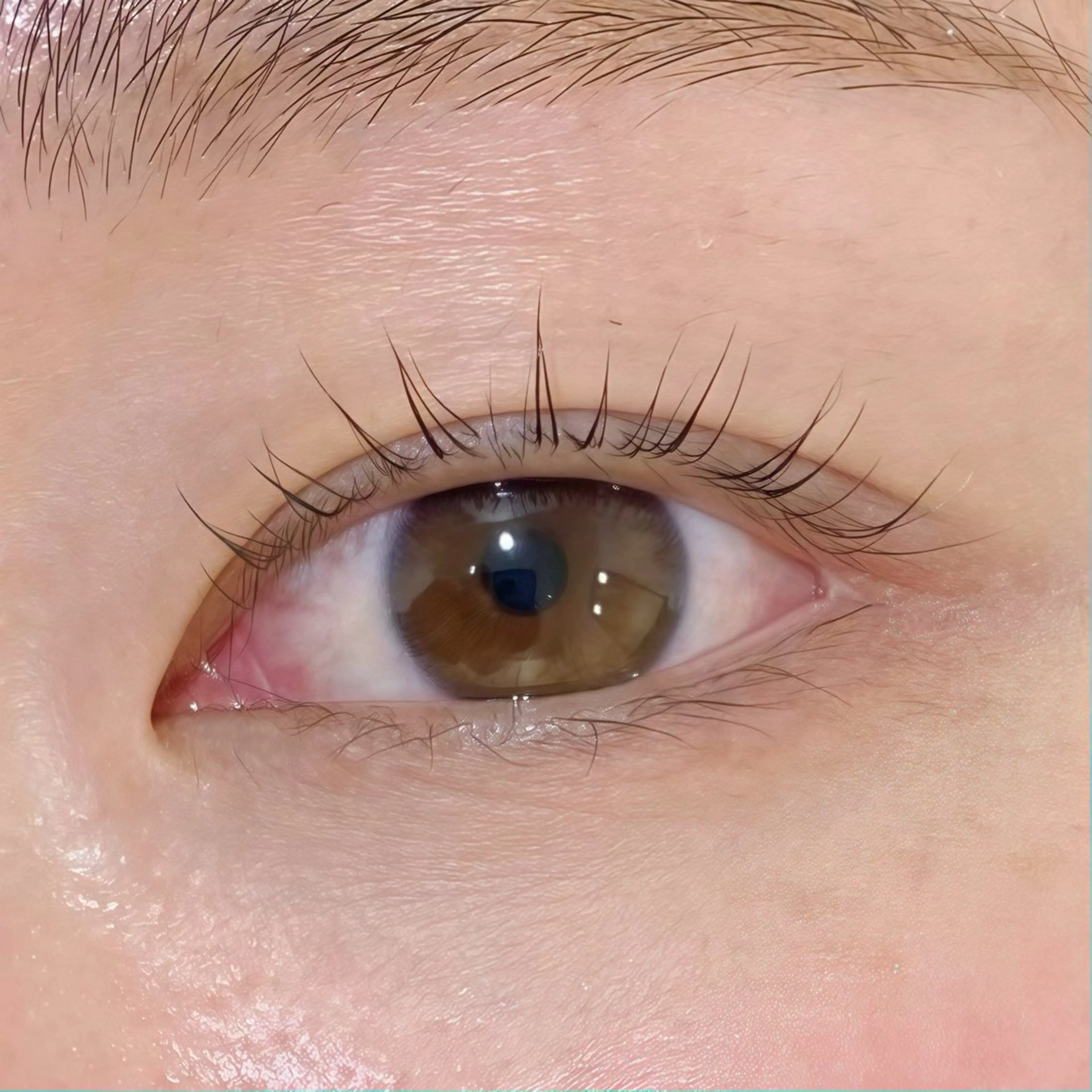 マツエク・マツパ 🐈ニナ🐈‍⬛/メ ンズカット/まつパのマツエク・マツパデザイン