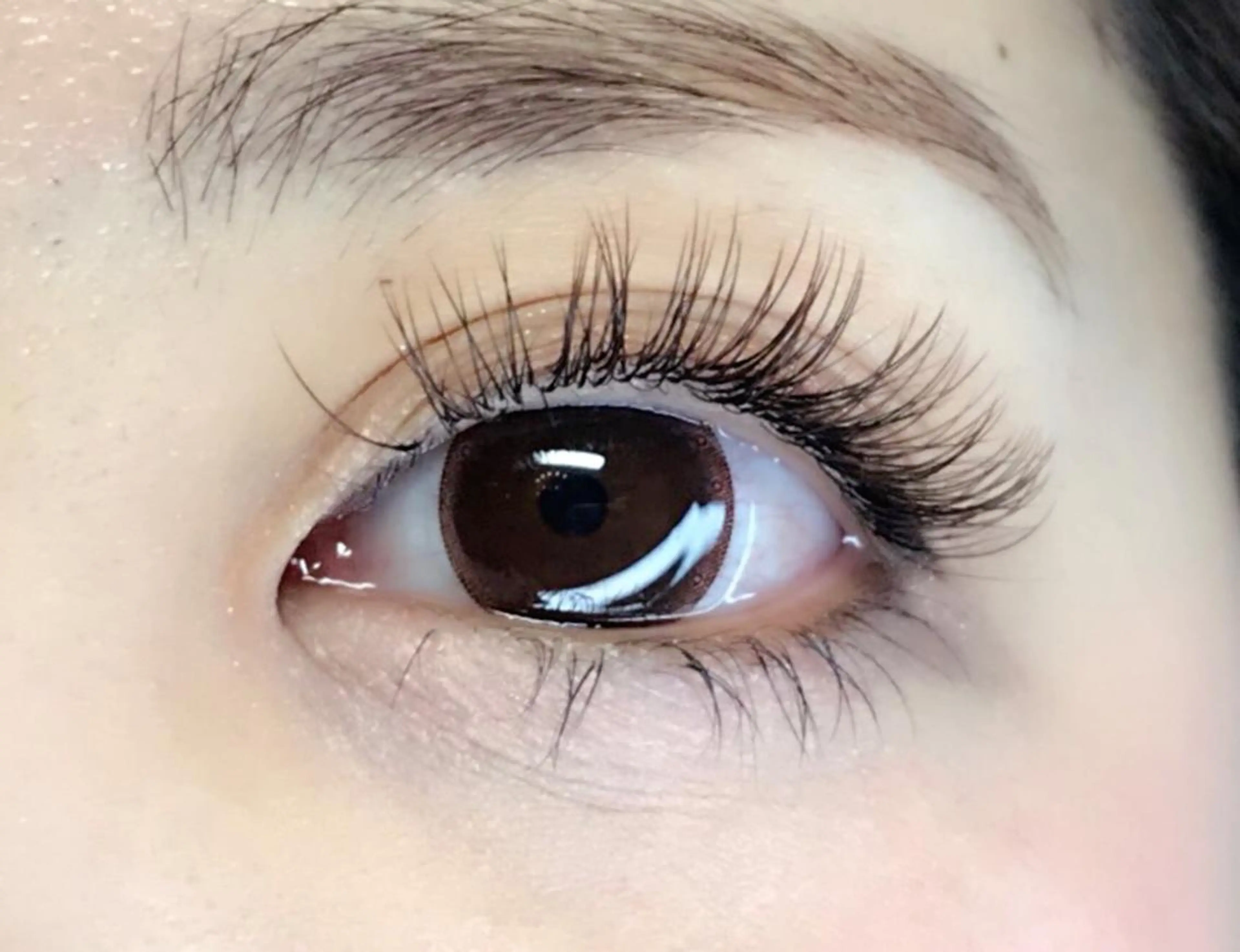 マツエク・マツパ カラーマツエク アップワードラッシュ マツエク リネル 新宿西口のマツエク・マツパデザイン