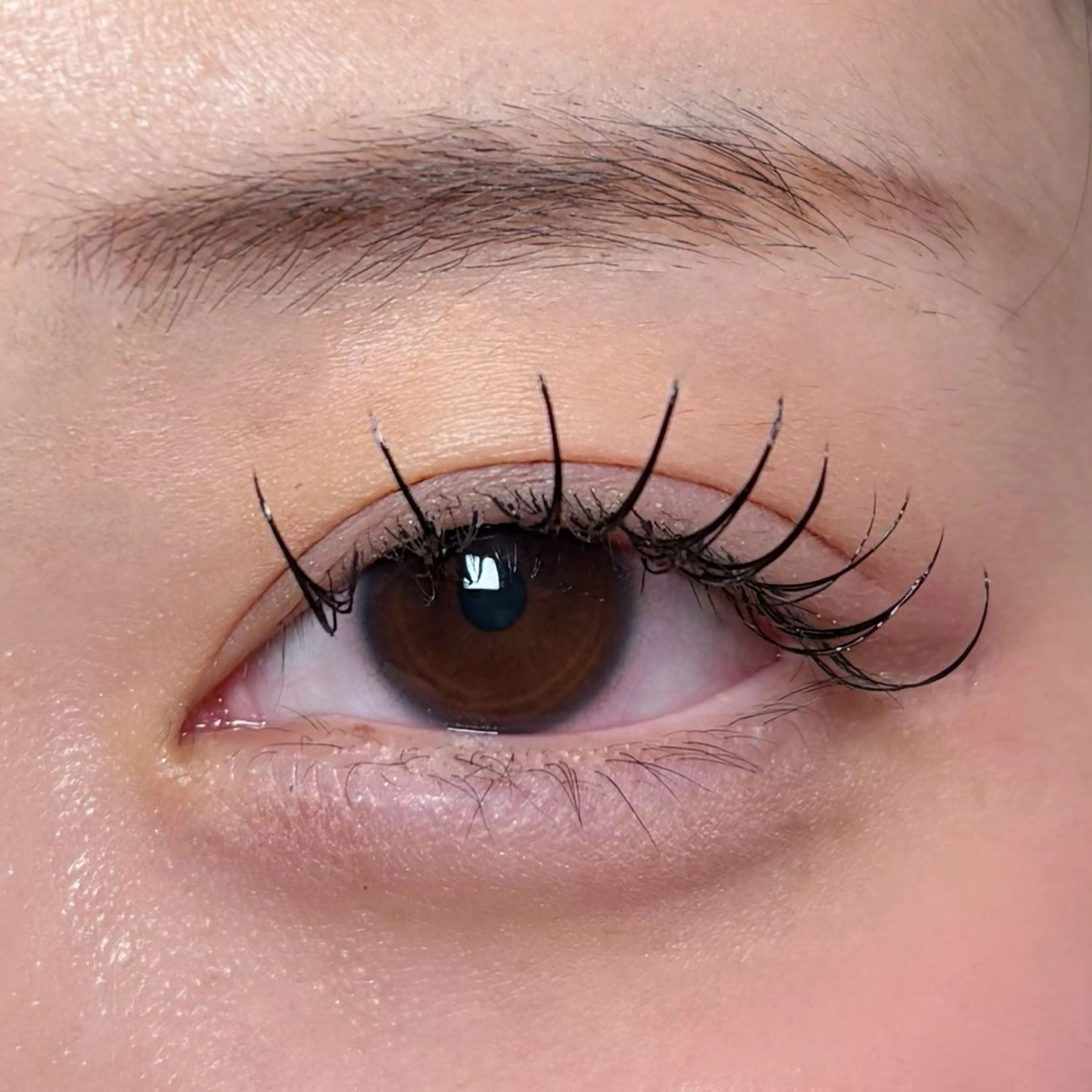 マツエク・マツパ seek北梅田 モデル募集用のマツエク・マツパデザイン