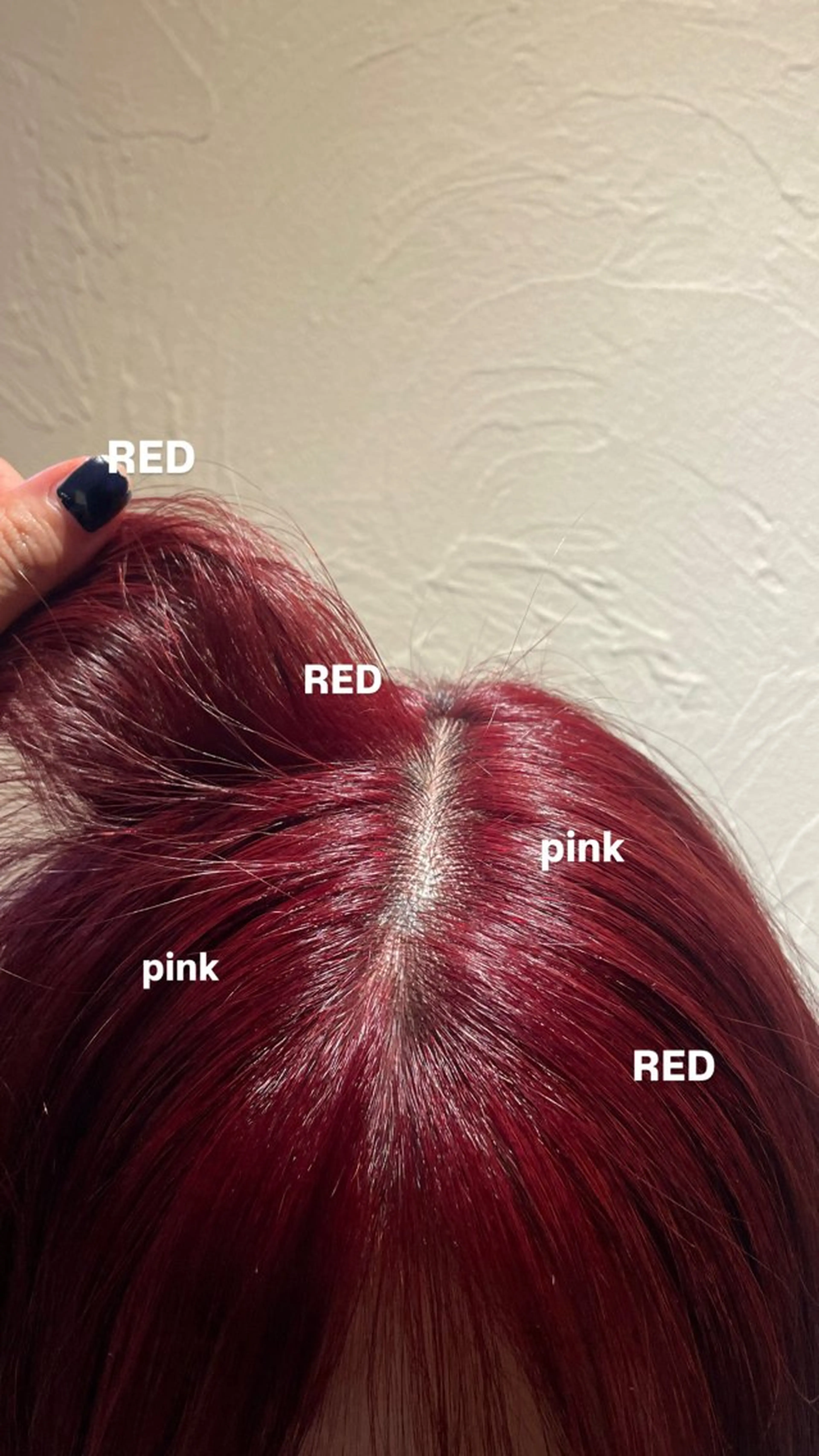 カラー ショート/似合わせ パーマ/KANOのヘアスタイル