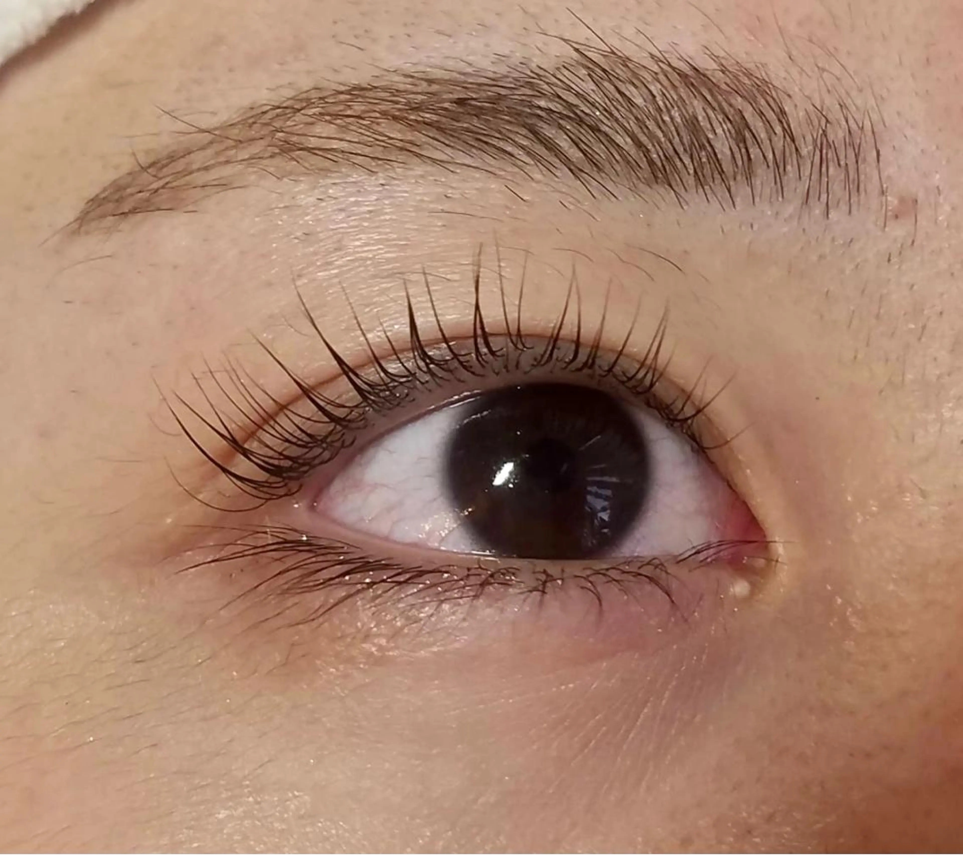 マツエク・マツパ パリジェンヌラッシュリフト Fairytail excellentのマツエク・マツパデザイン