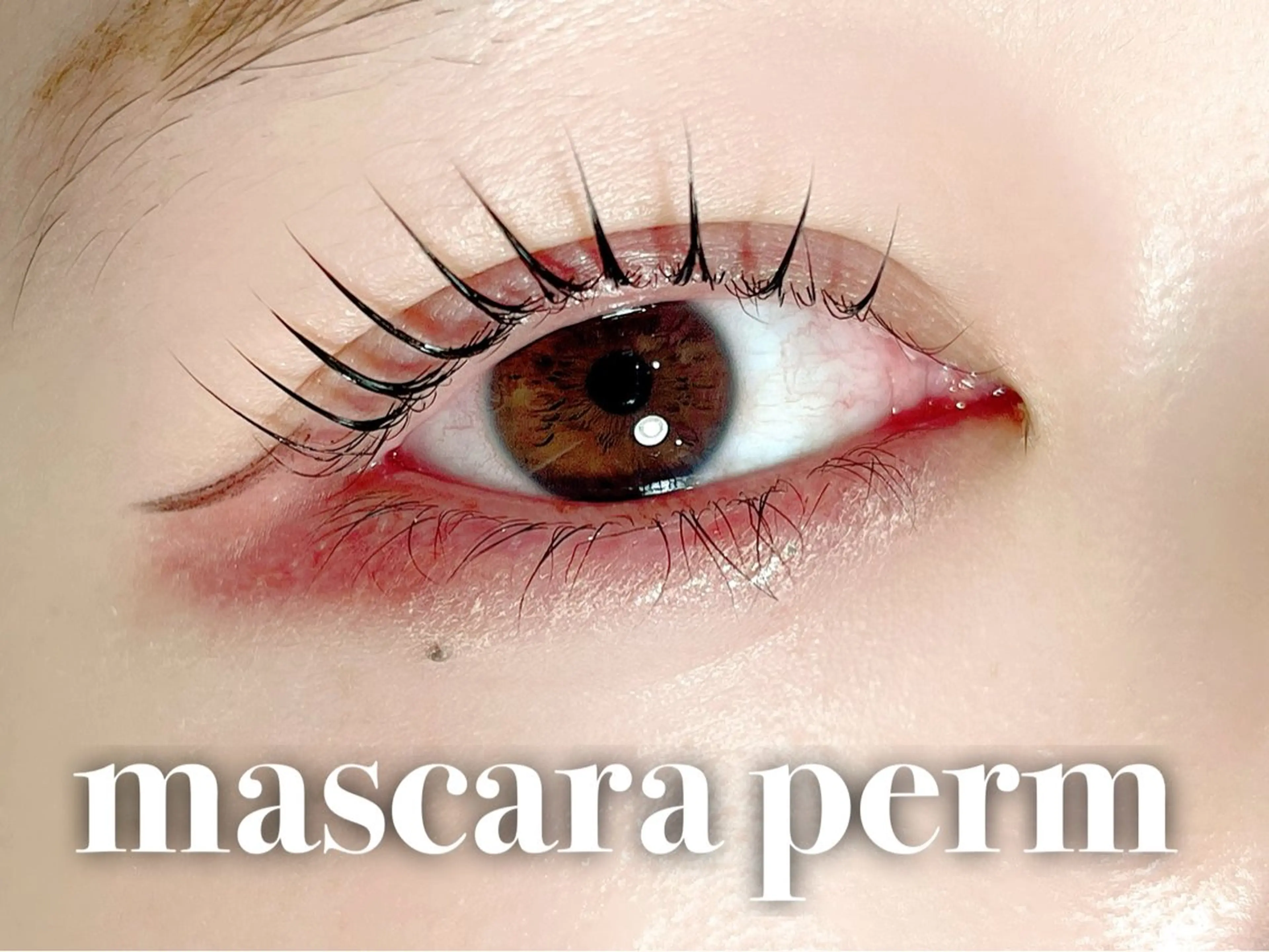 マツエク・マツパ マツパ LaMa .Jのマツエク・マツパデザイン