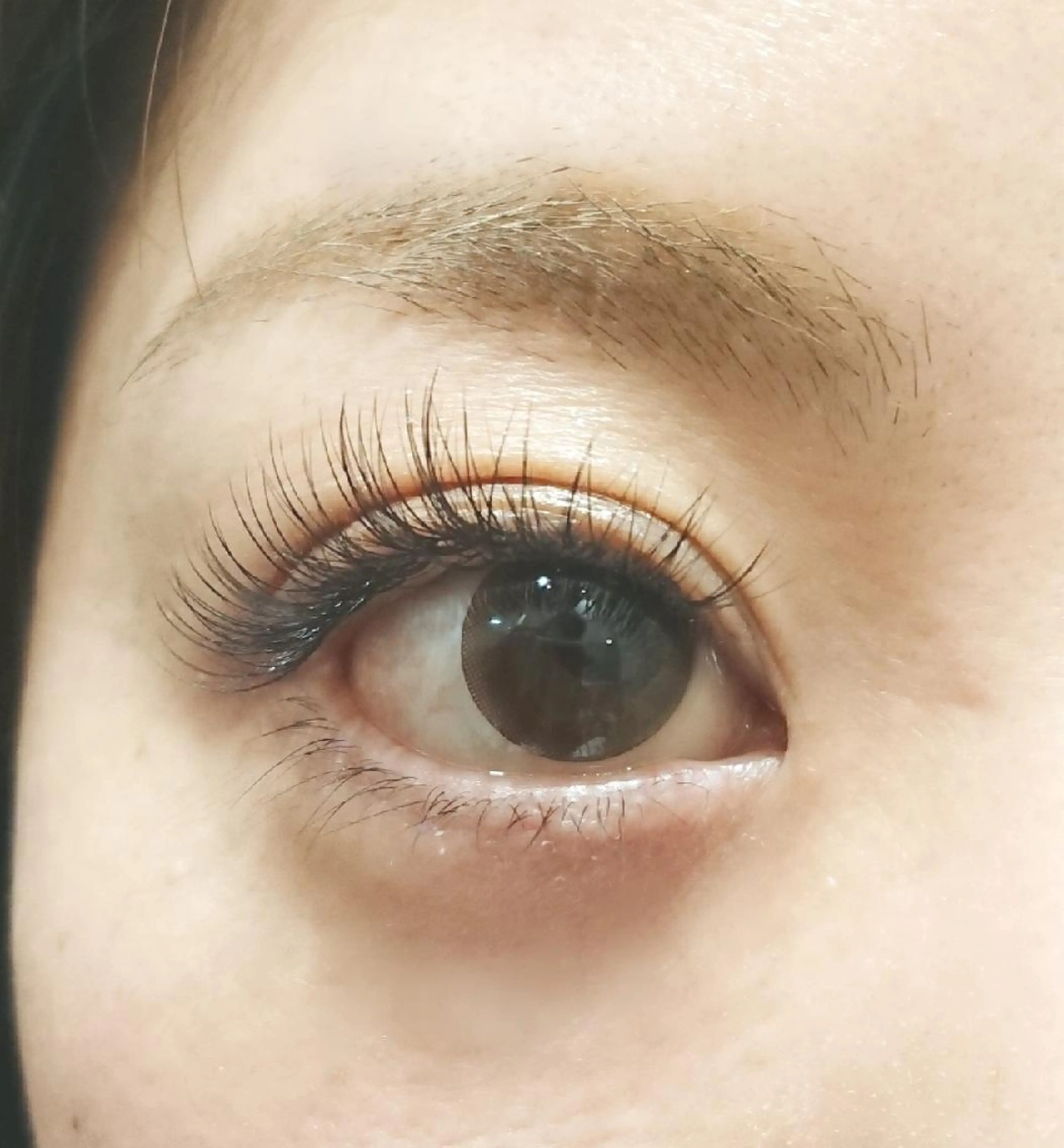 ボリュームラッシュ130束390本の写真