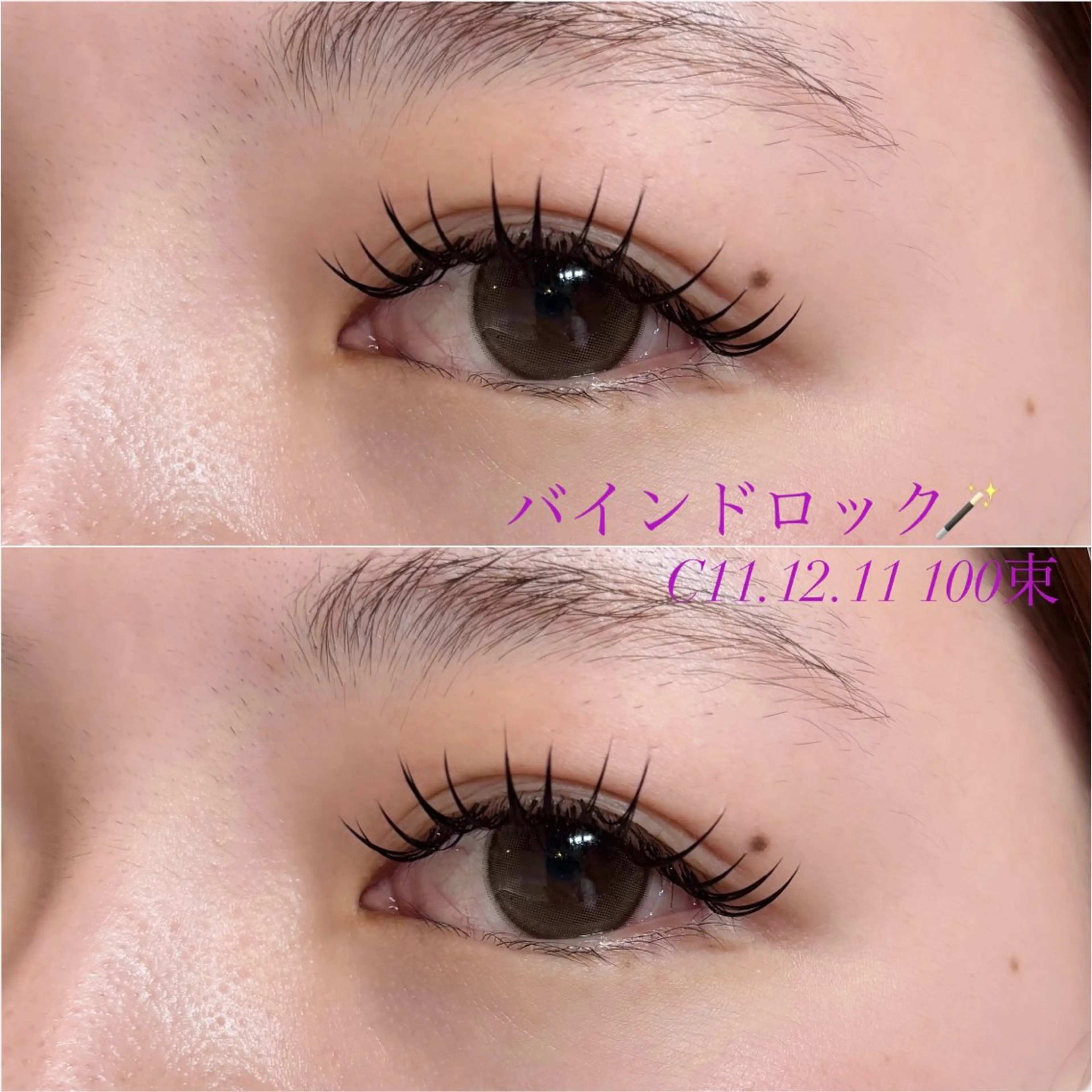 【初回限定価格🌱】バインドロック オフ有60束オフ無80束※付け足し不可の写真