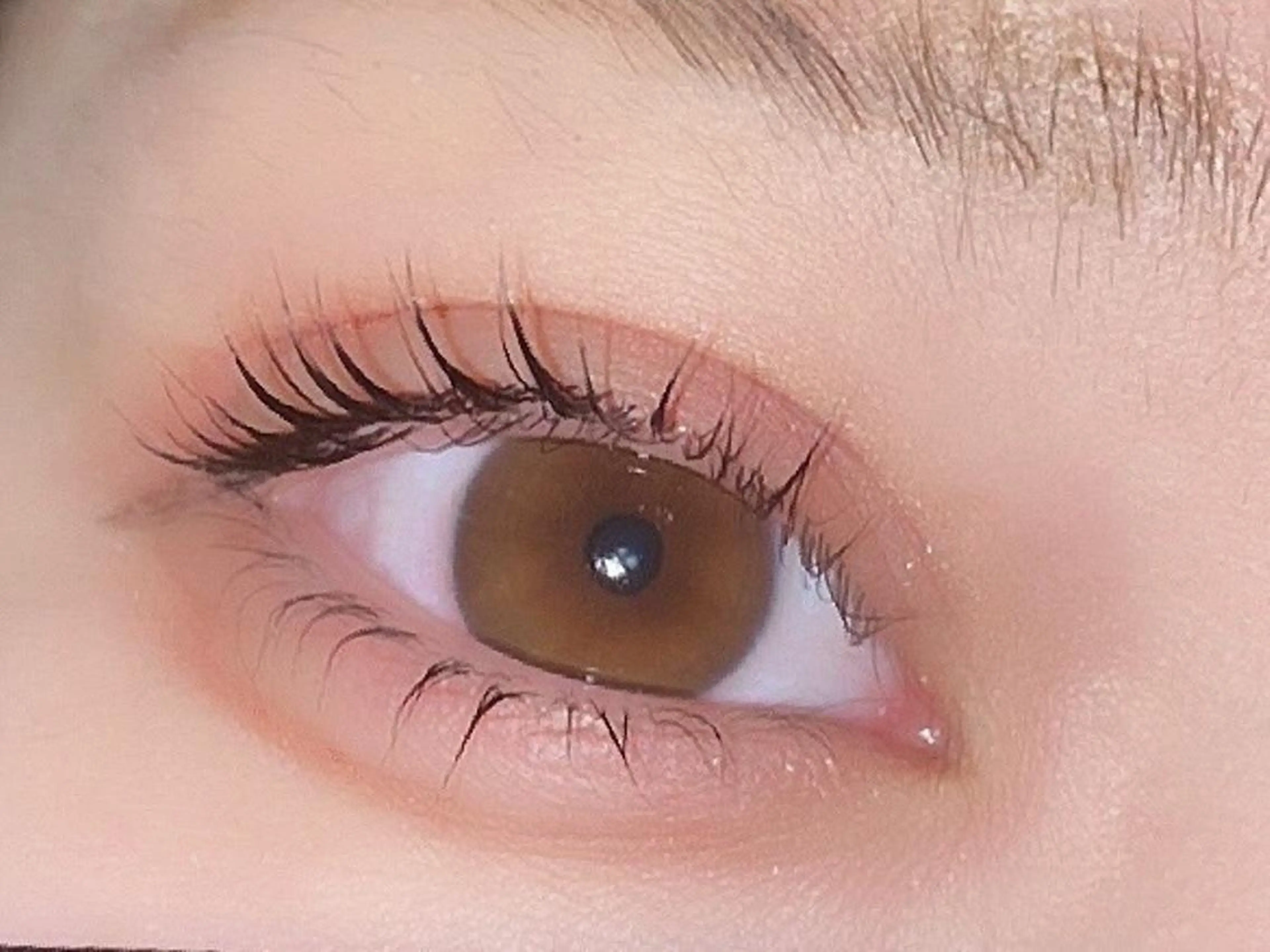 チケットのお客様はこちら♡の写真