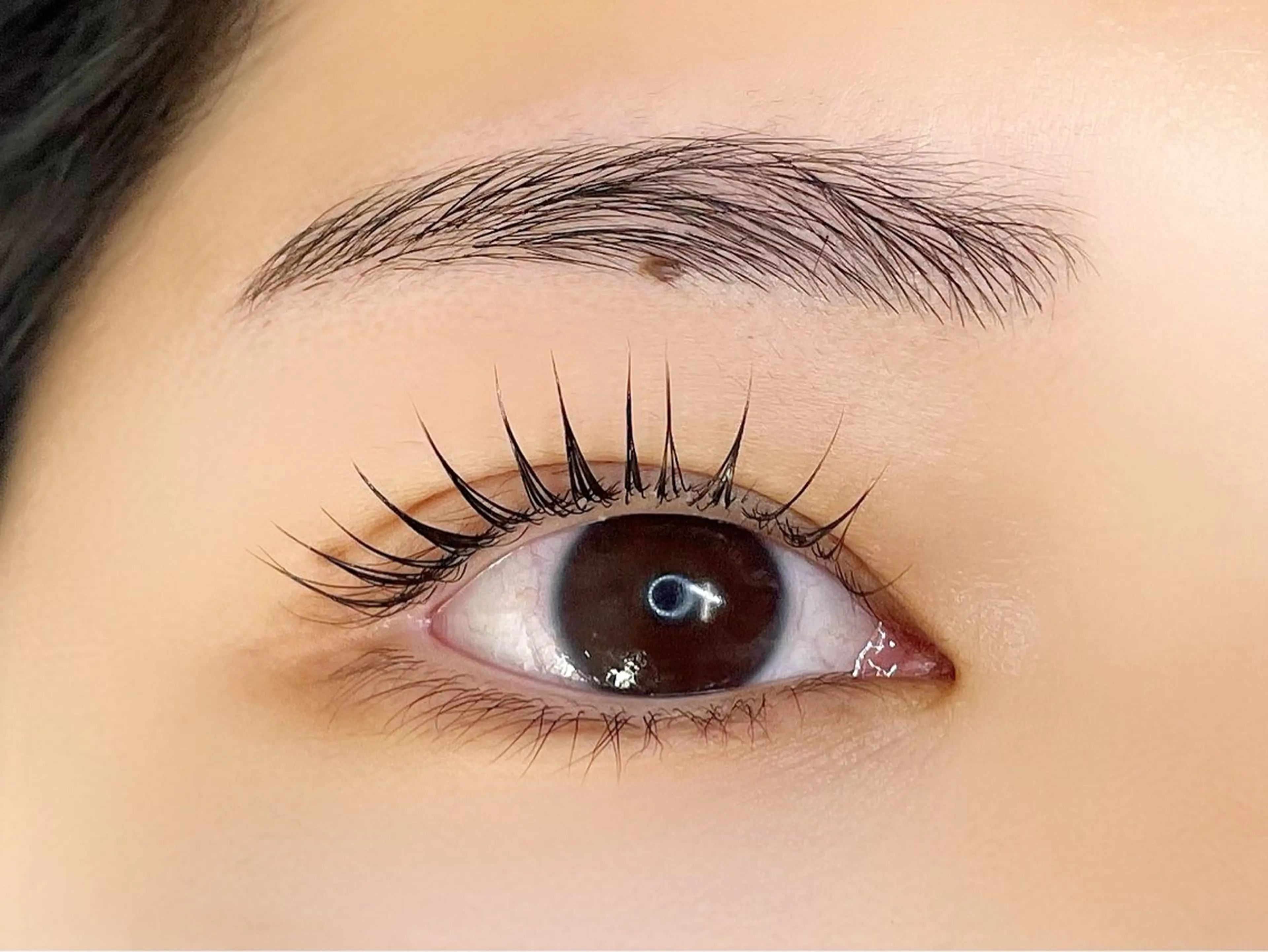 マツエク・マツパ マツパ eyelash CLAYの眉毛・アイブロウイメージ