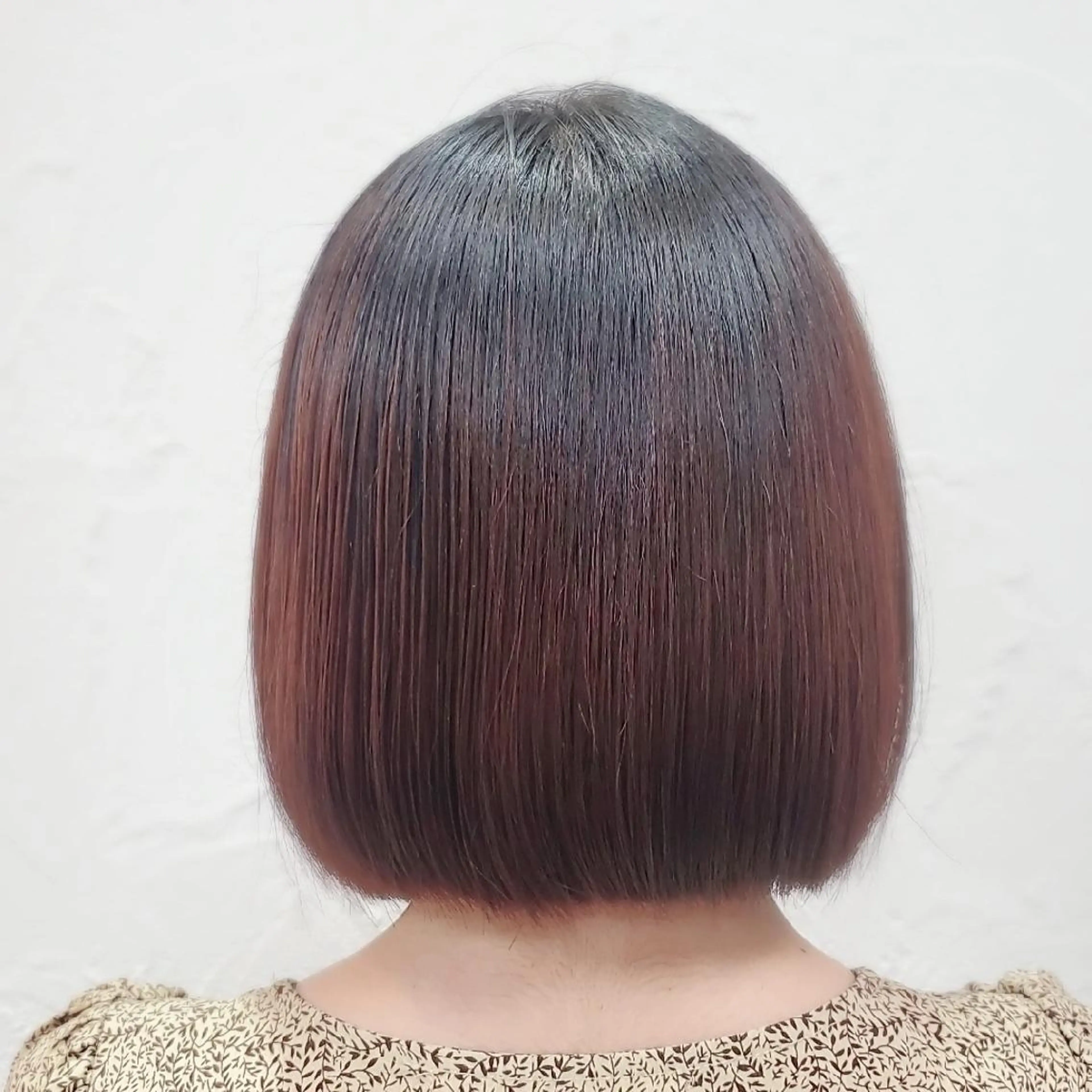 ショート ボブ 髪質改善/白髪ぼかし SHIONのヘアスタイル