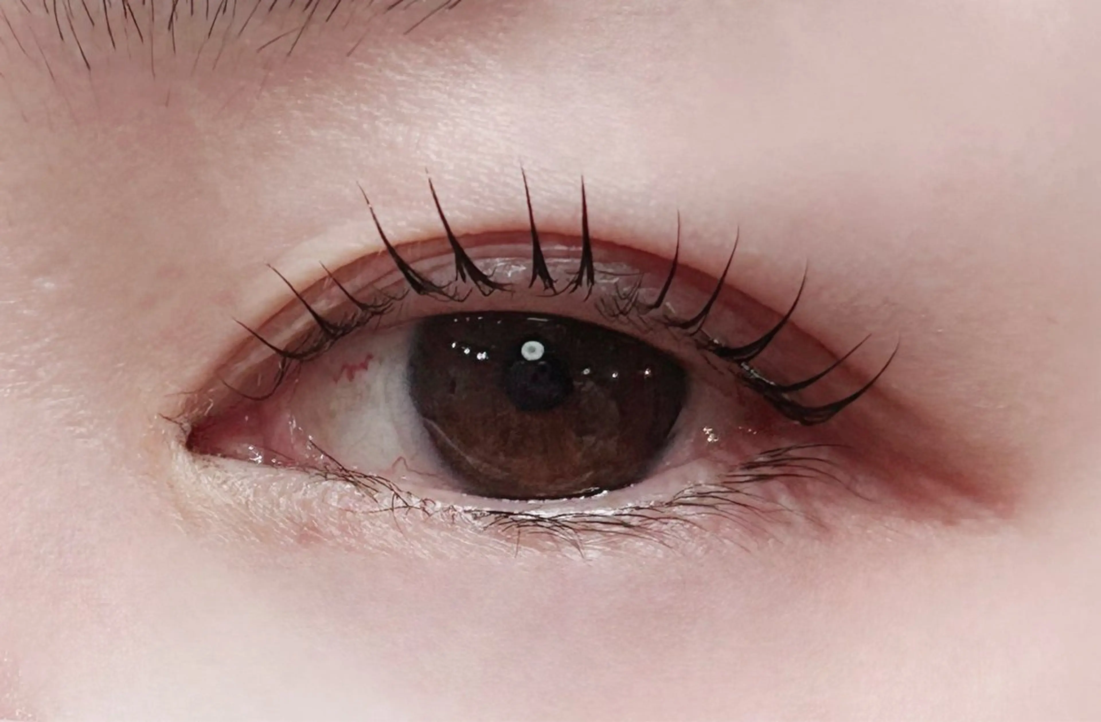 ミニモ学割マツパデビューの写真