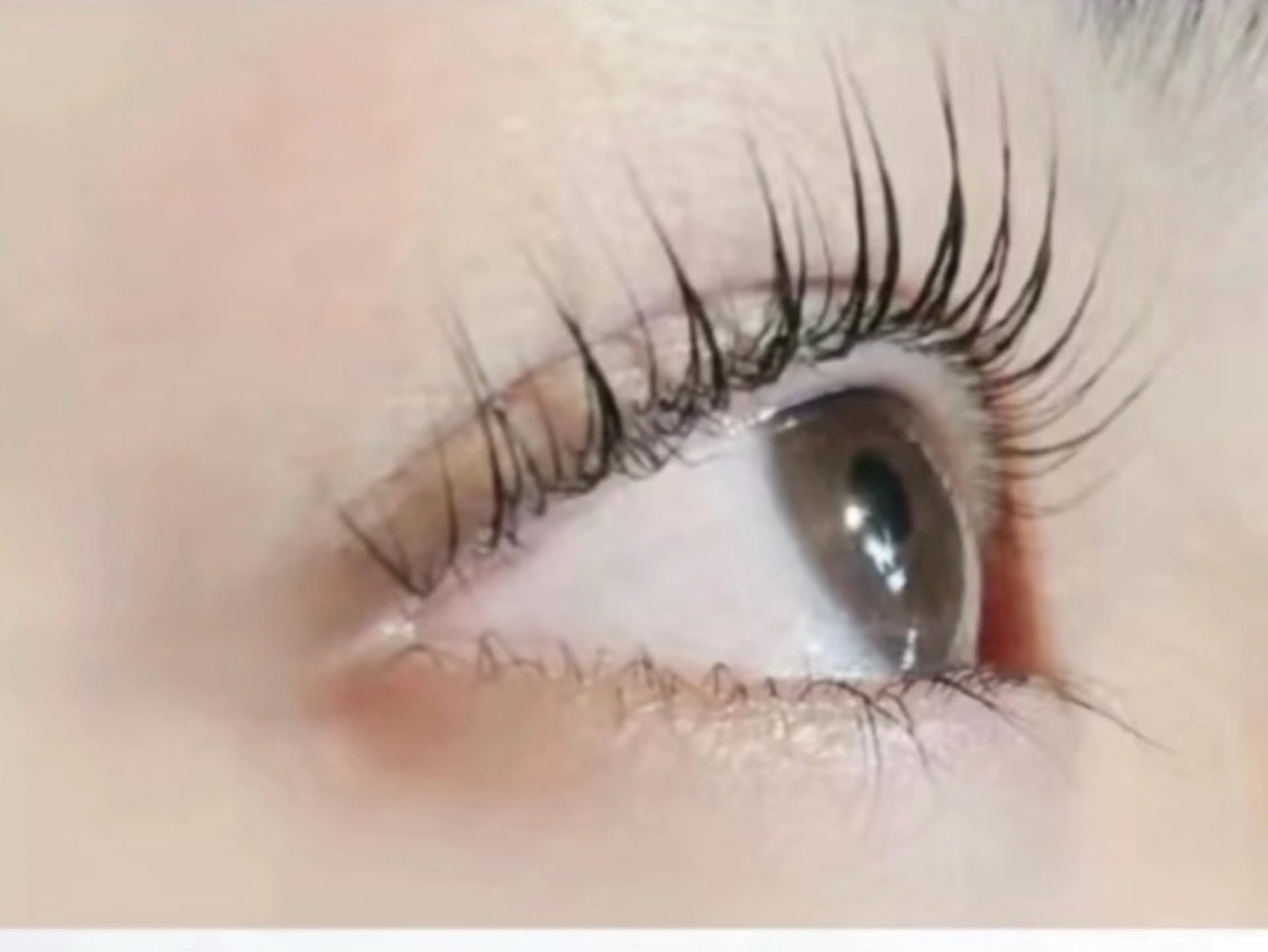 マツエク・マツパ マツエク ho hoのマツエク・マツパデザイン